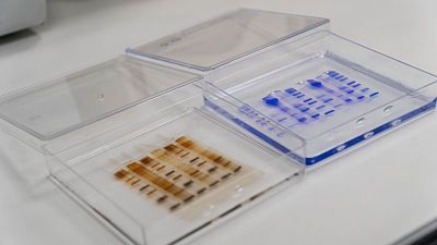 Diater lanza un tratamiento para los síntomas de rinoconjuntivitis en pacientes alérgicos a gramíneas