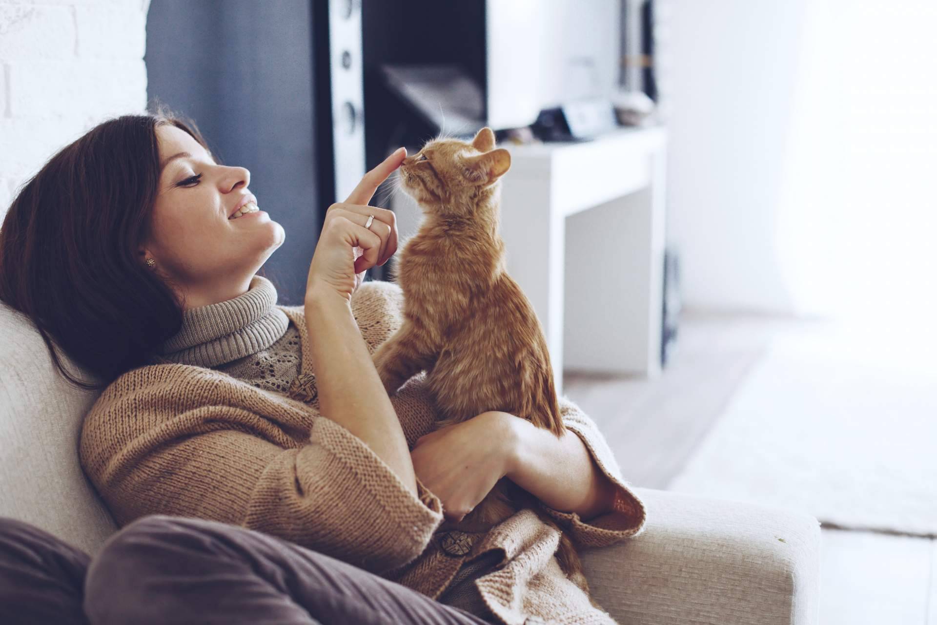 ¿Cómo tener una buena convivencia con perros y gatos? La antrozoología y etología del perro y del gato