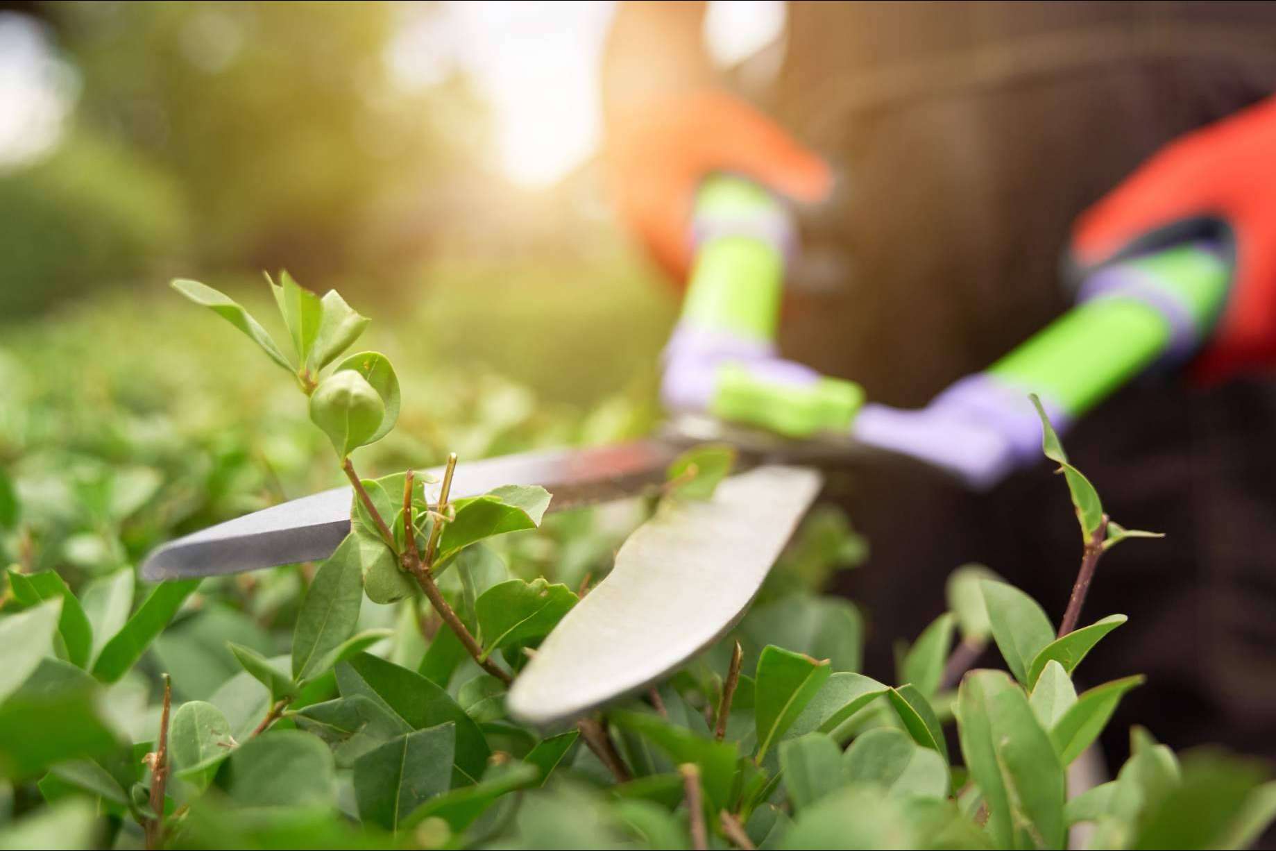 Las herramientas de jardín para eliminar las malas hierbas disponibles en el amplio catálogo de Modrego Hogar