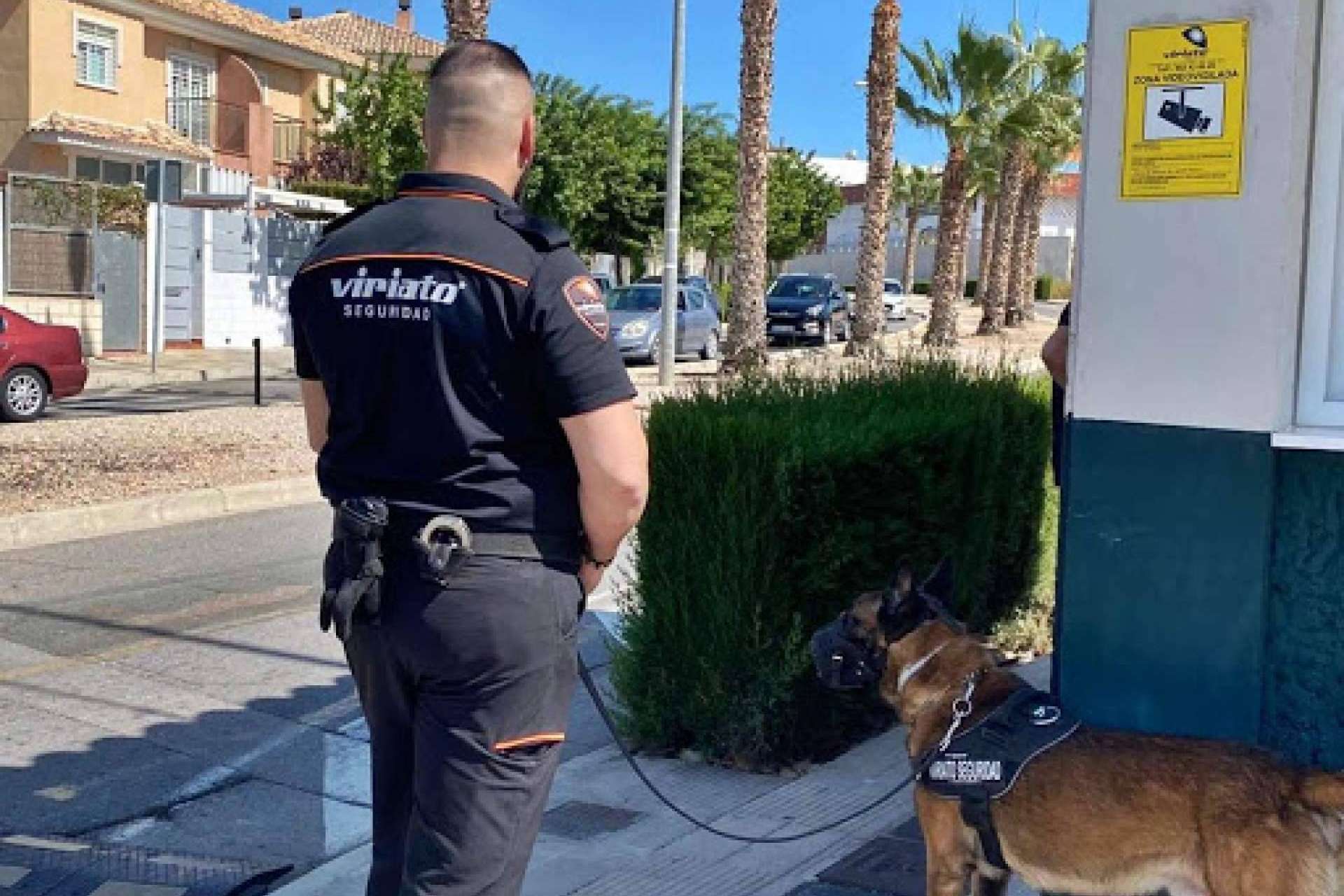 El servicio anti-intrusión que proporciona la máxima seguridad y protección para hogares, comercios y empresas, por Viriato Seguridad