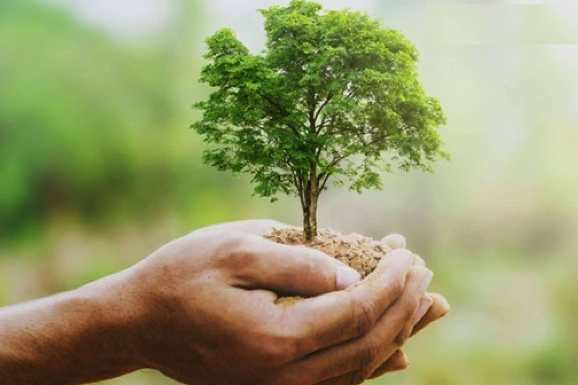 La compañía española Ozonotec ofrece el equipo de desinfección totalmente ecológico del momento, Eco Max 8 Automático
