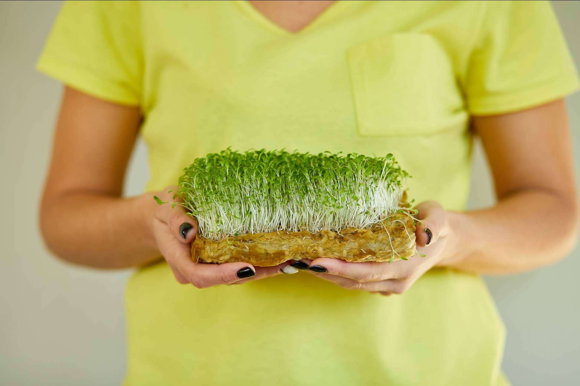 Mediterranean Superfoods expone qué hace que a un alimento se le considere como un superalimento