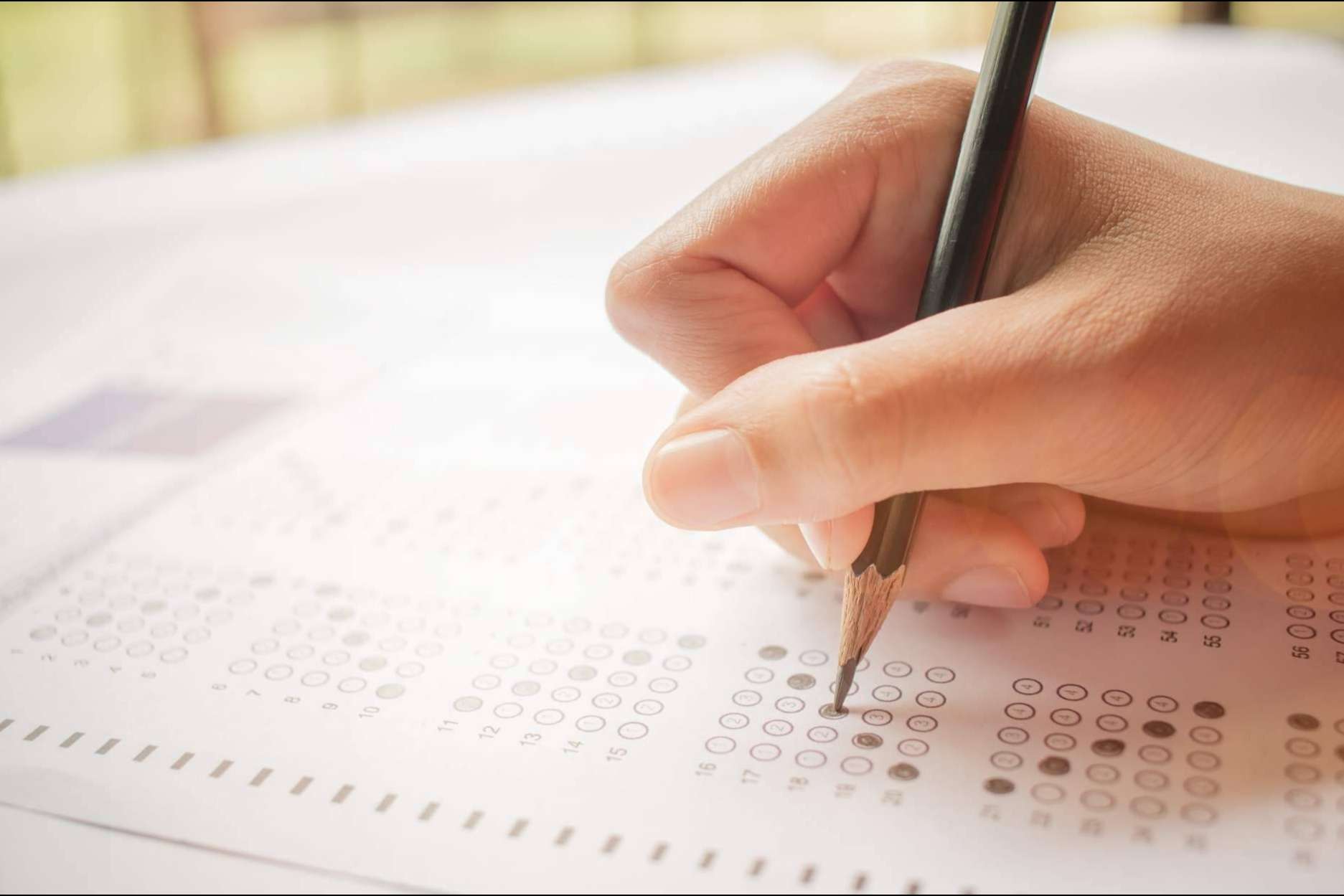Academia Odiseo se consolida como una de las mejores alternativas para preparar segundo de bachillerato