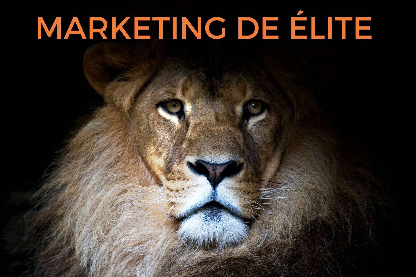 El nuevo libro del León de Ventas se titula Marketing de Élite