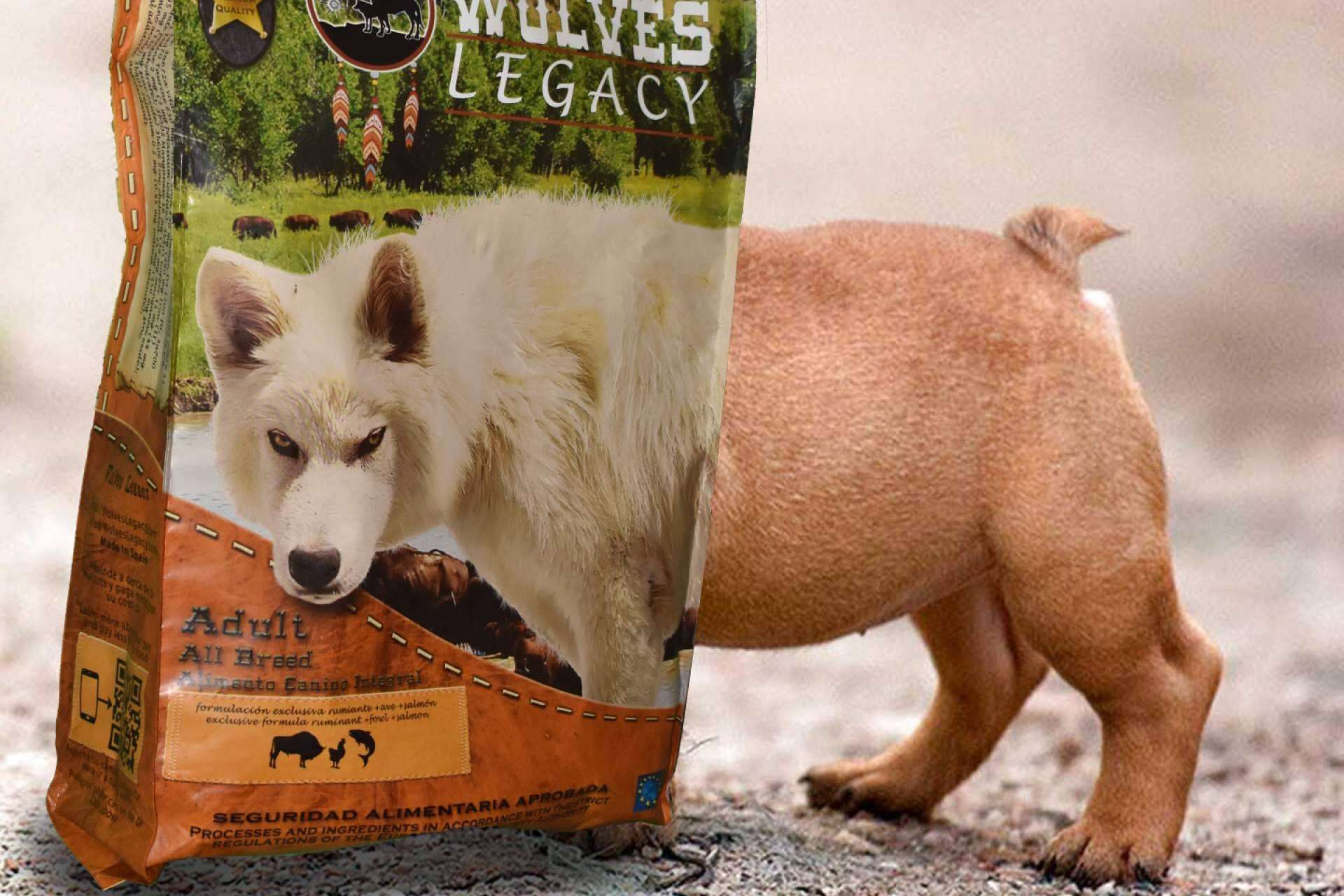 La forma de evaluar los mejores piensos para perros