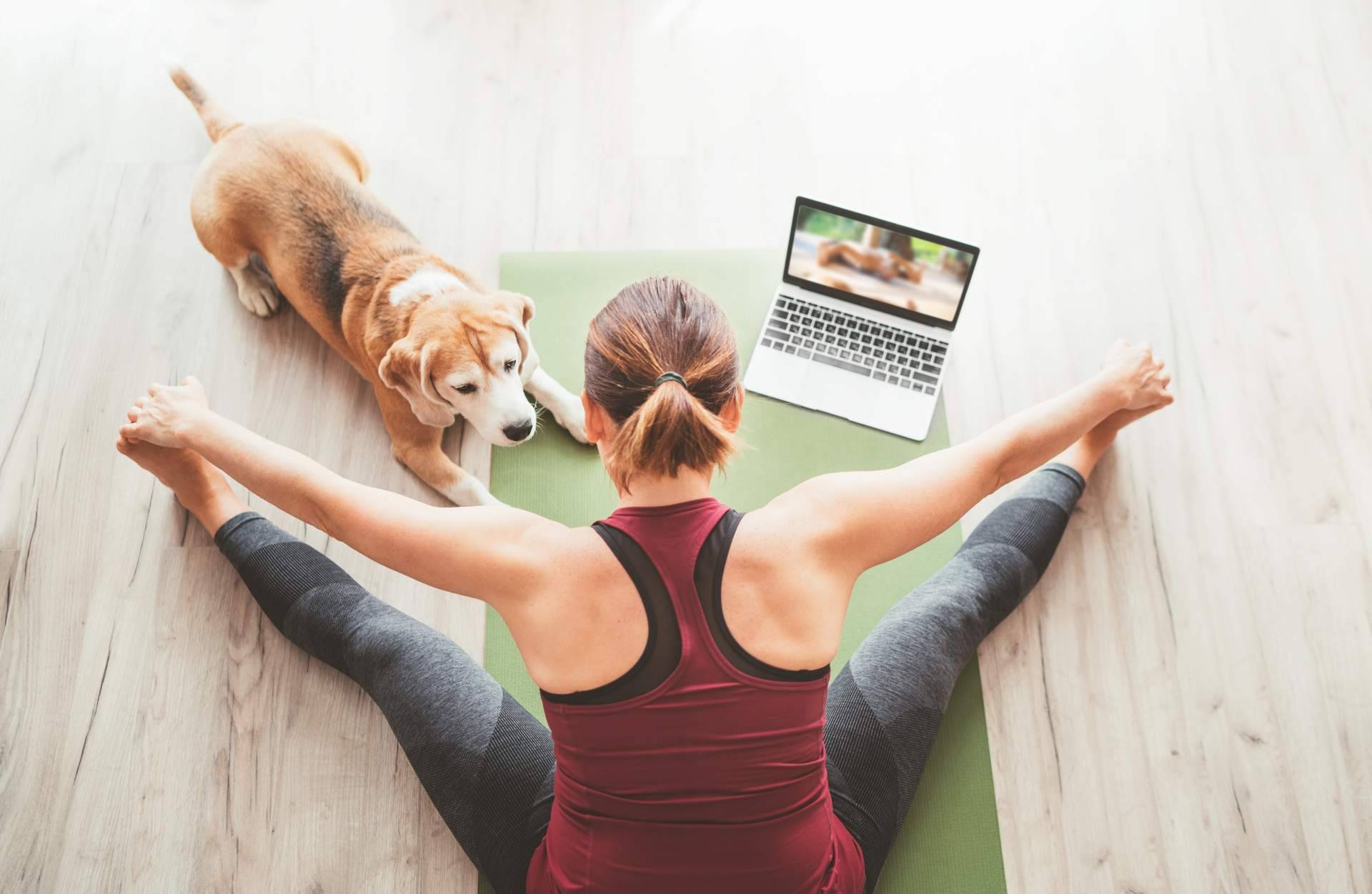 Profesorado de Yoga aconseja diferentes cursos online para profundizar en este arte