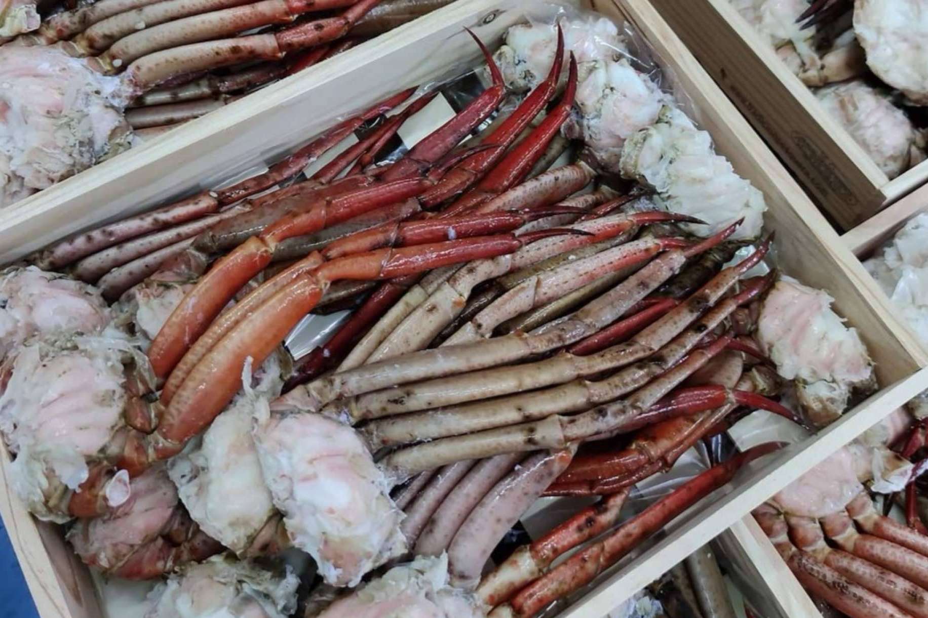 Esta Navidad compra Mariscos online