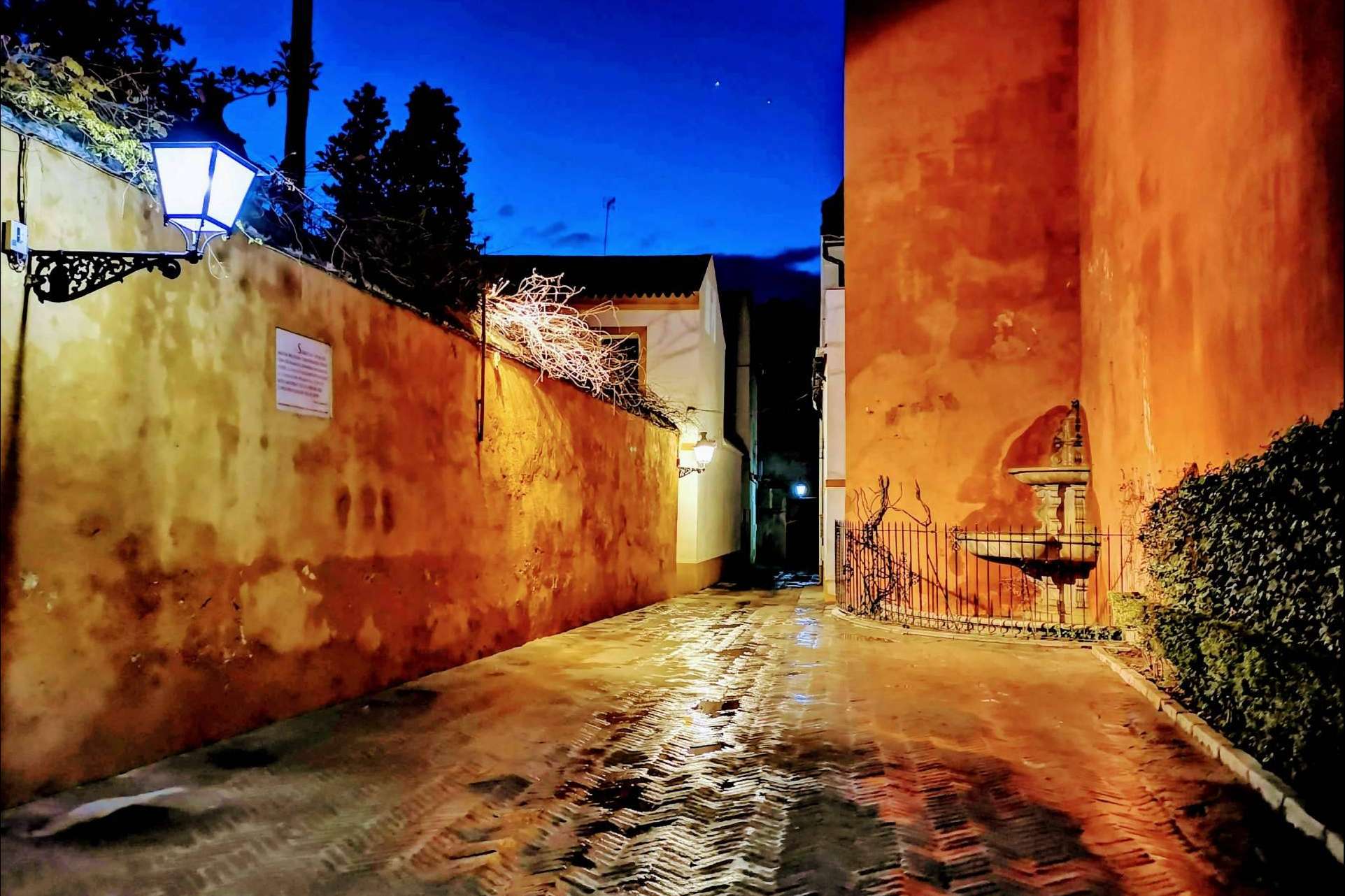 Visitas guiadas en Sevilla de la mano de un experto, Tu guía de Sevilla