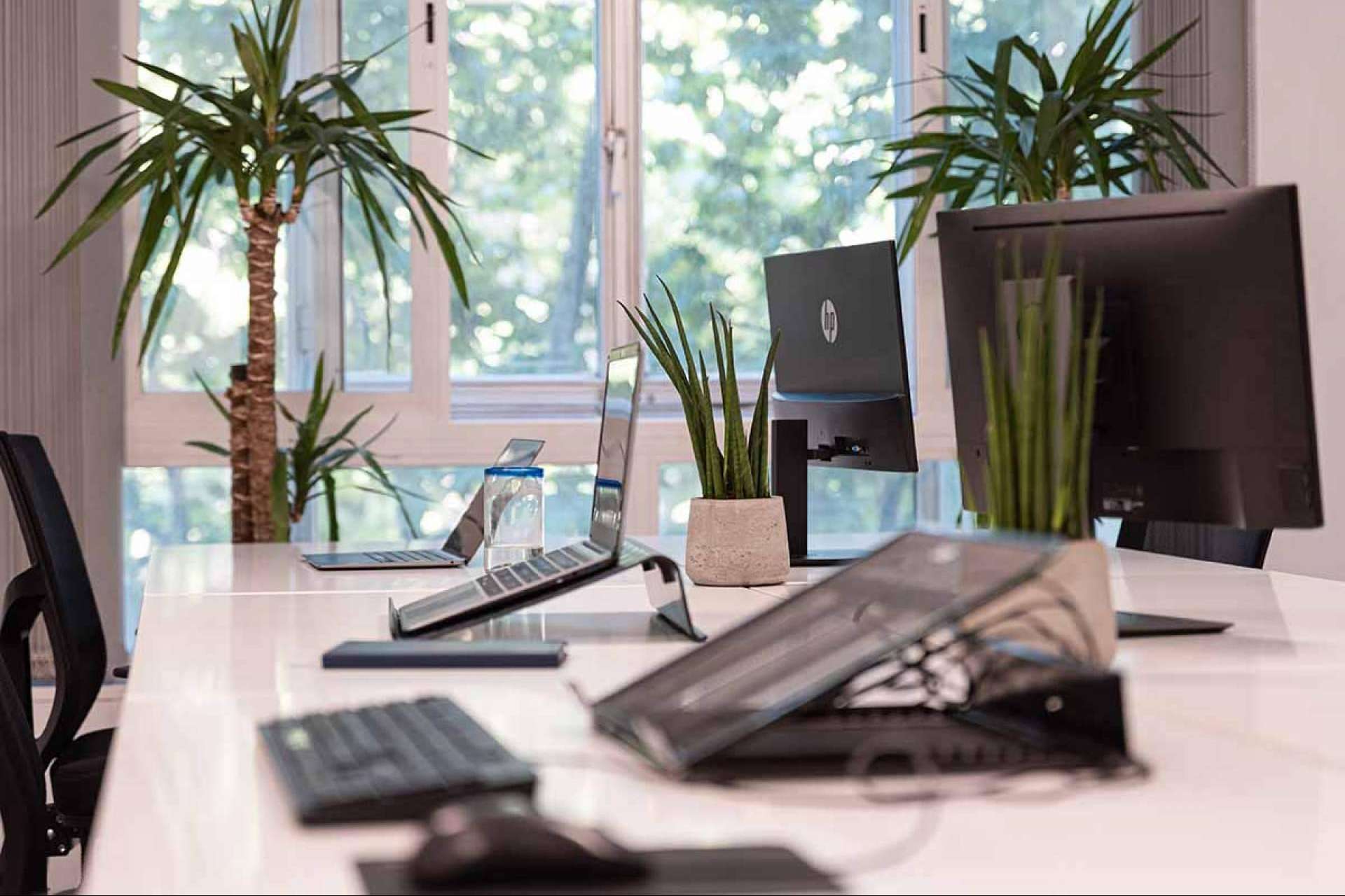 Tener una oficina virtual gracias a OXYGEN coworking
