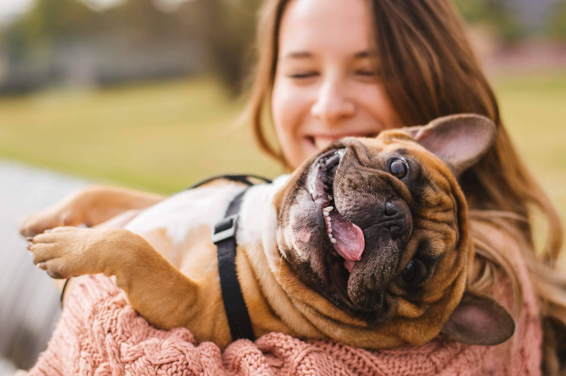Aprender de antrozoología (ciencia del vínculo humano-animal) para conectar con los animales de compañía