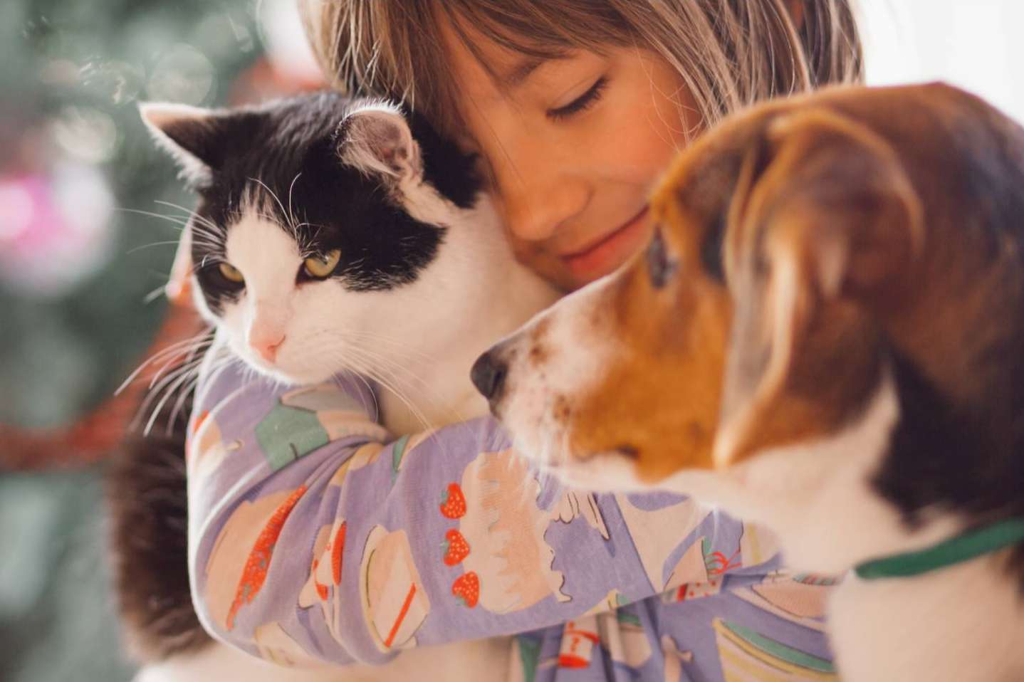 La tienda de accesorios para mascotas Pets4Good apoya causas benéficas