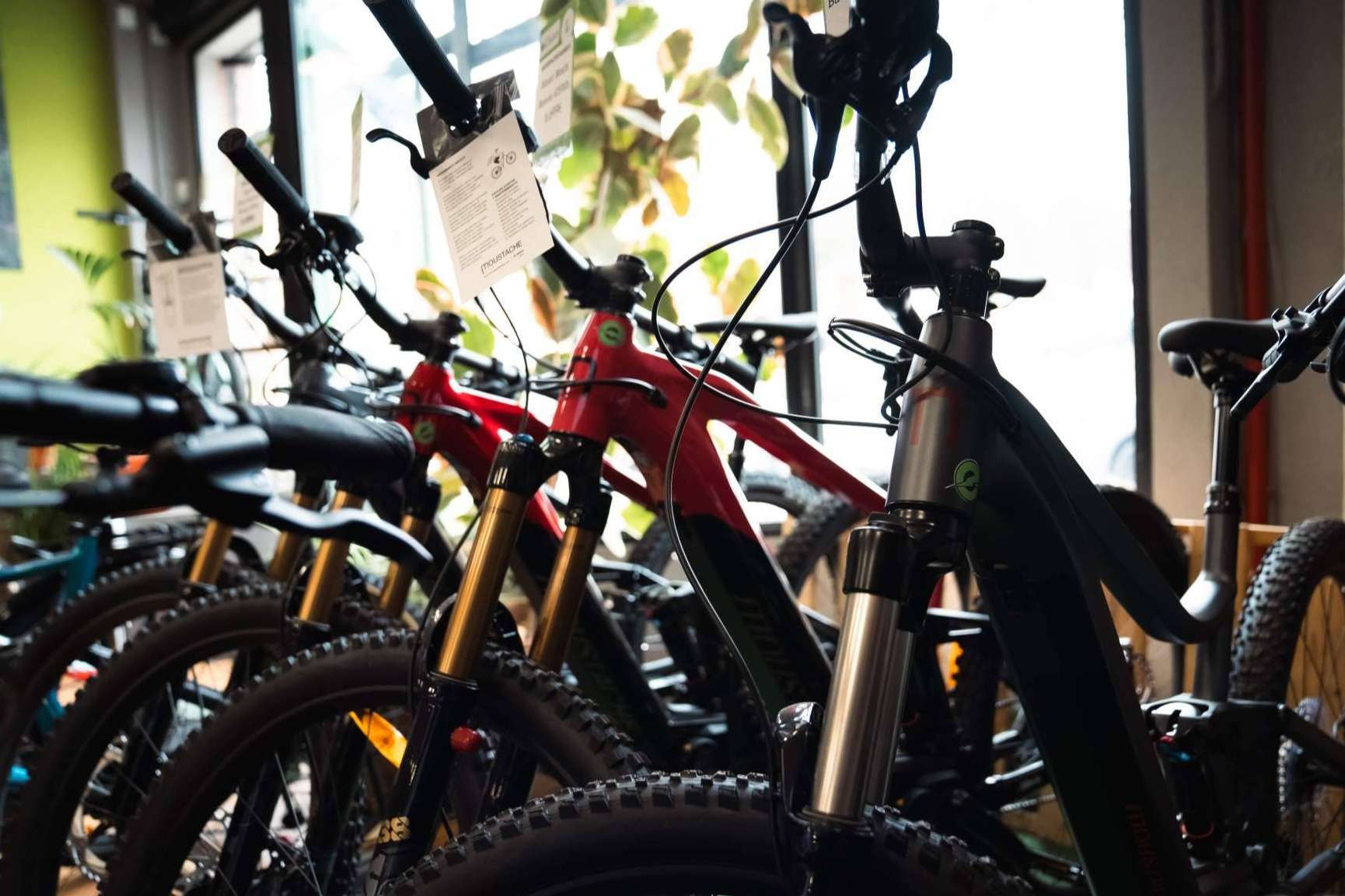 Bicicletas eléctricas de montaña e MTB para todos los gustos en Ebike.es