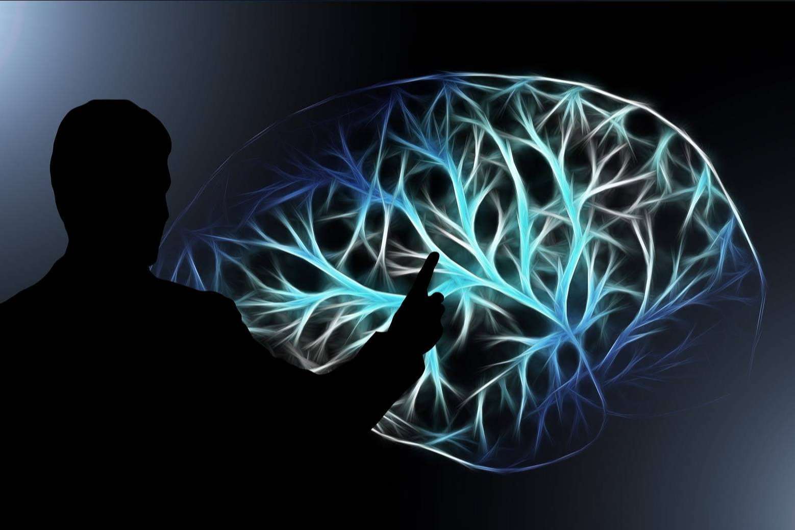 ¿Qué ofrece Mind Galaxy?, la nueva plataforma de cursos sobre la mente