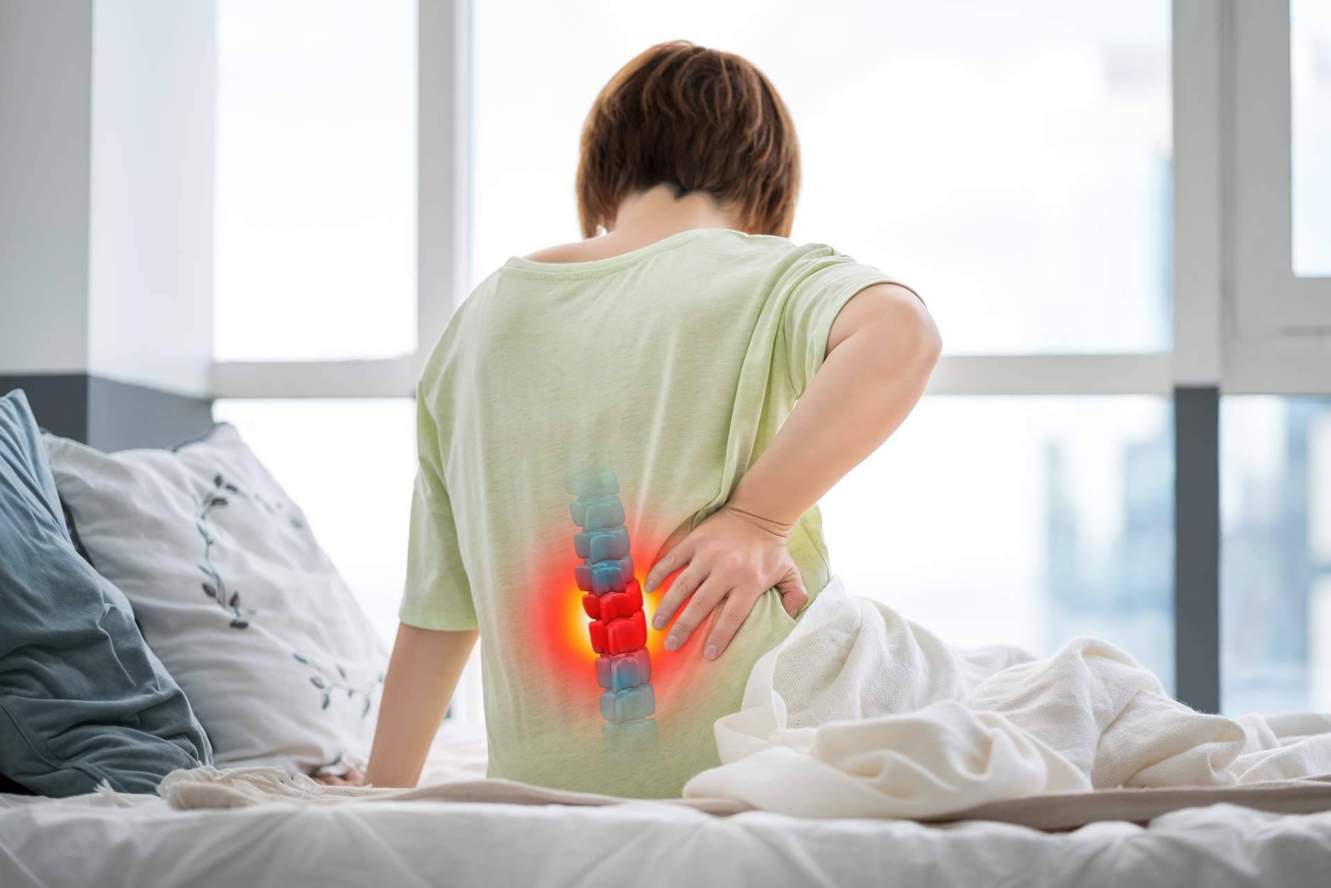 Envíos de productos a todos los países del mundo con MalditaHernia