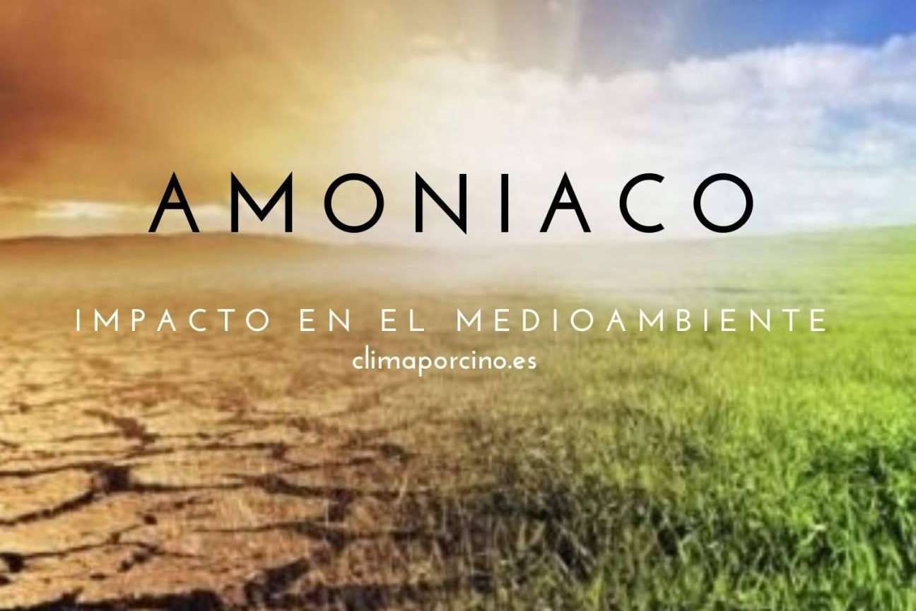Comercialización con éxito de un aditivo que reduce las emisiones de amoniaco desarrolladas en el purín de las fosas de las granjas, por Clima Porcino