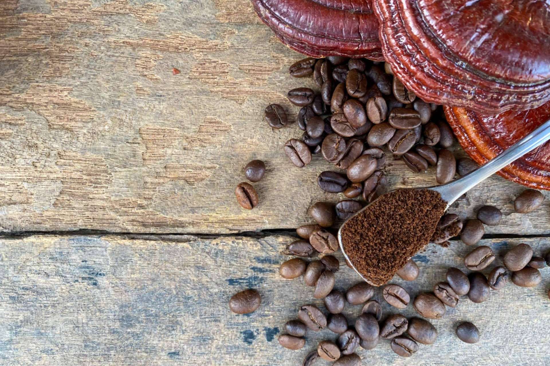 La Tienda De Cristóbal sobre la combinación de café con ganoderma