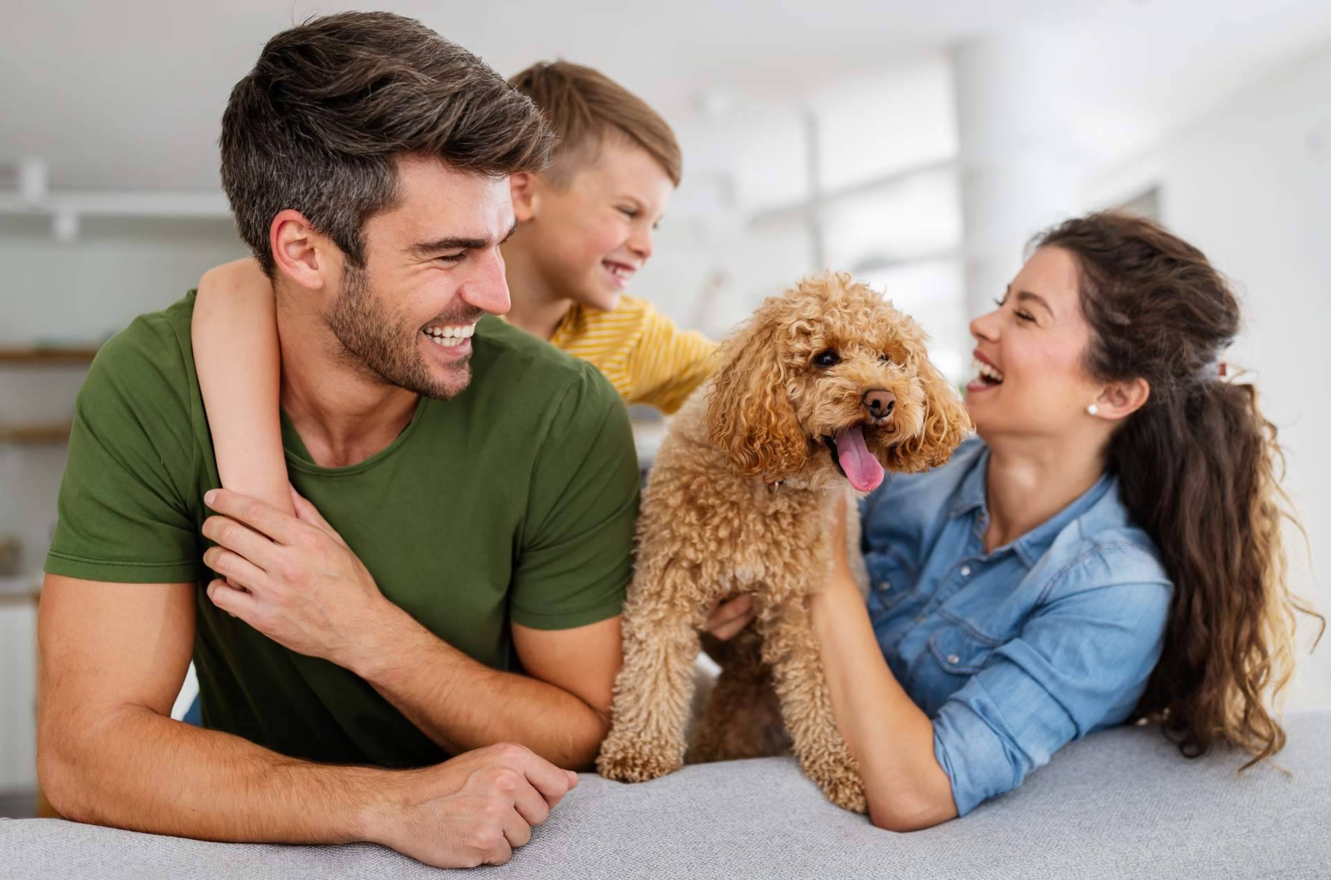 Formación para reforzar vínculos con los animales de compañía, en Antrozoología.com