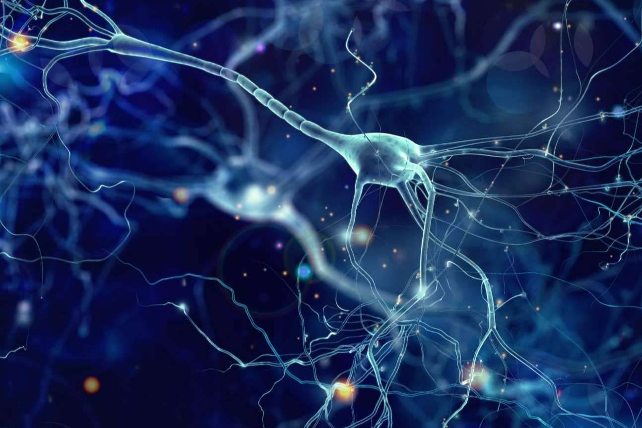 ¿Cómo medir la inteligencia de forma no verbal de las personas?, por Giunti Psychometrics