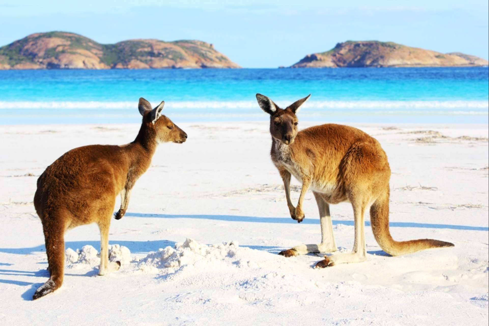 El asesoramiento de Australia Study España para becas, másteres y grados en Australia