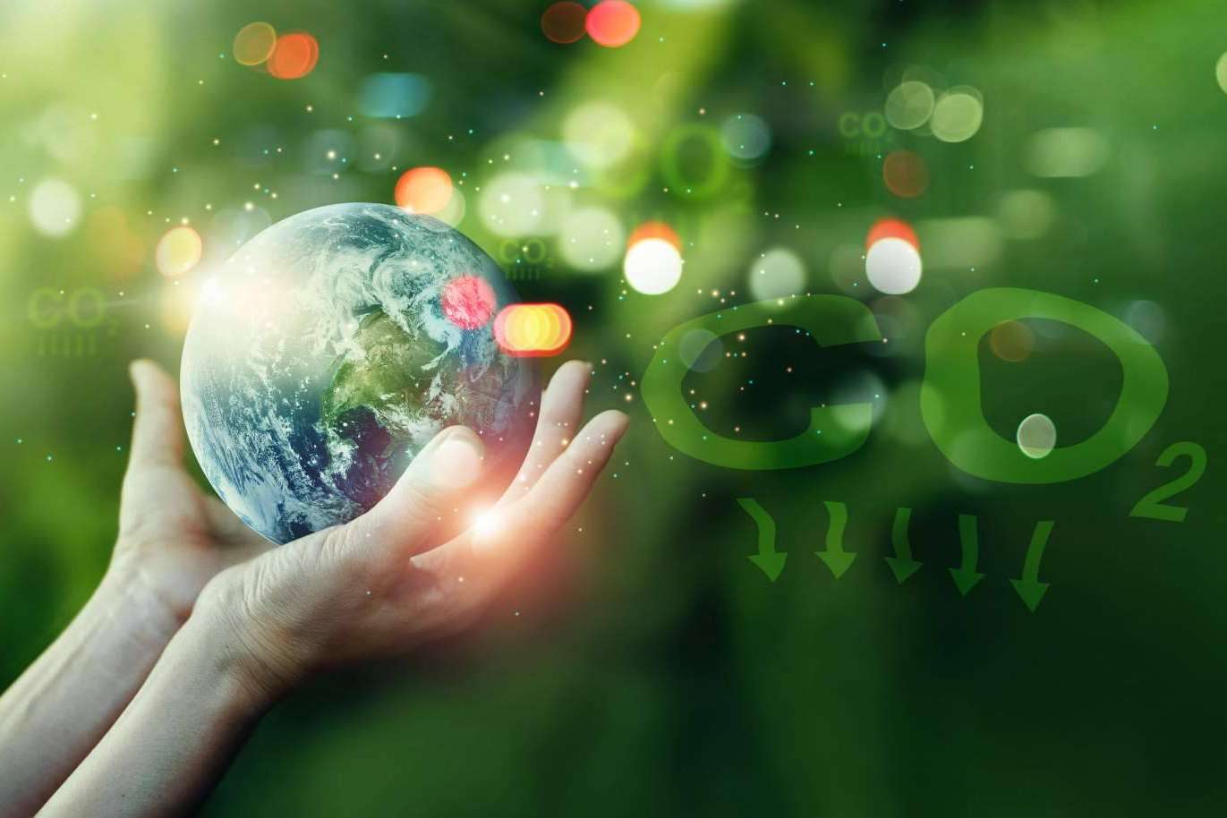 ClimateTrade se ocupa de compensar la huella de carbono
