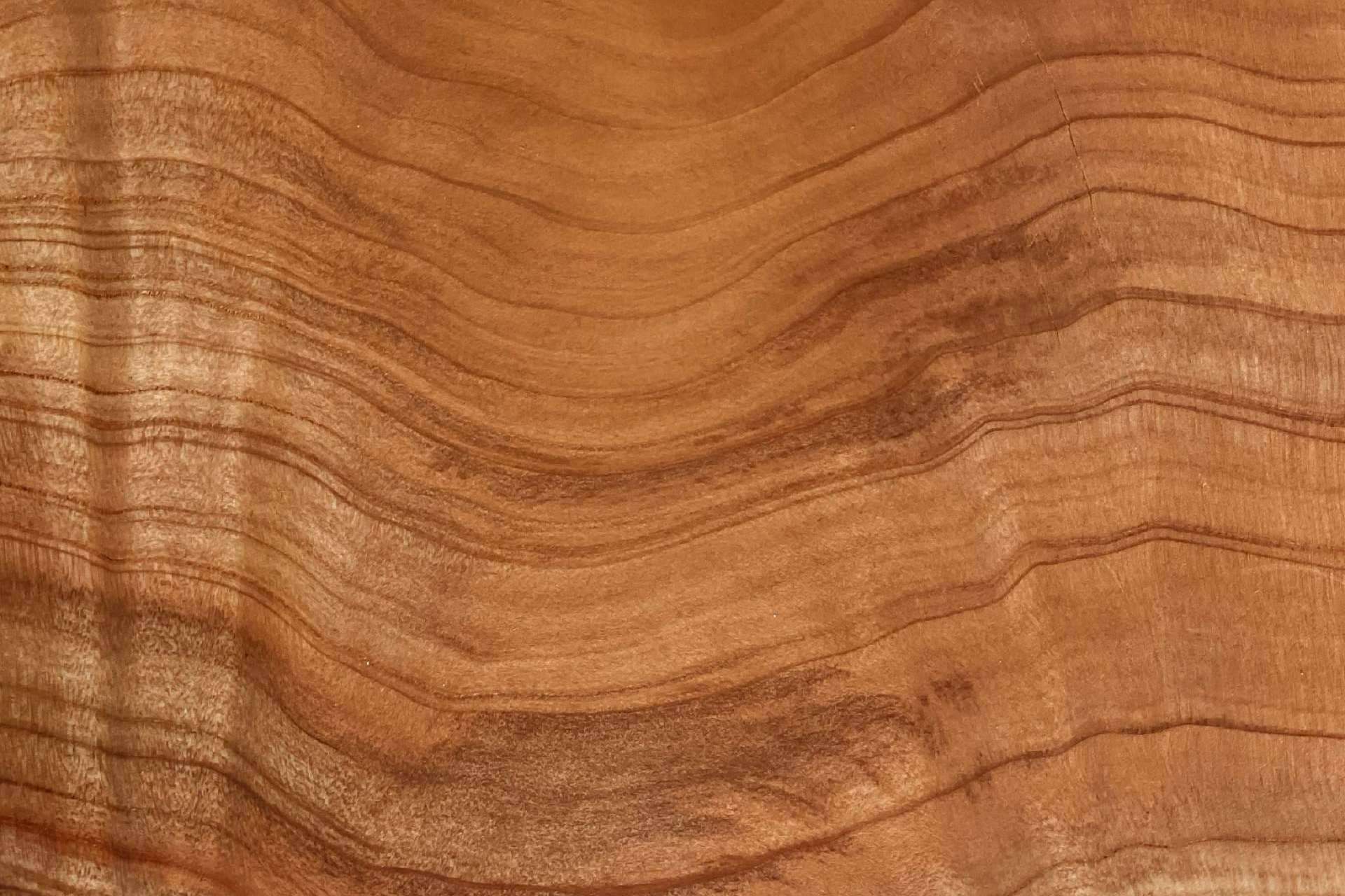 ¿Cuál es la mejor madera para los muebles?, por Maderas Gámez