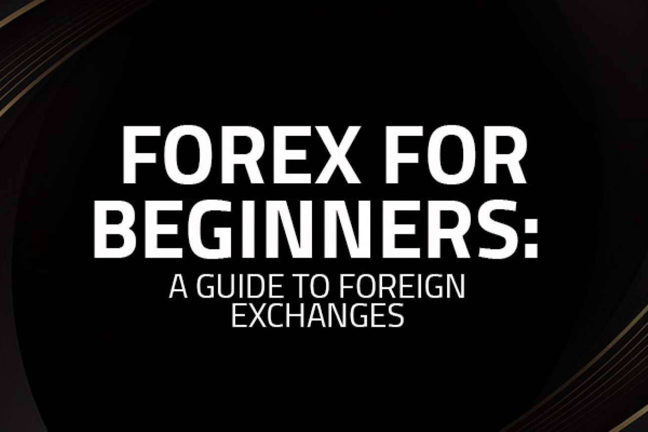 ¿Cómo invertir en criptomonedas?, de la mano de IMGFX