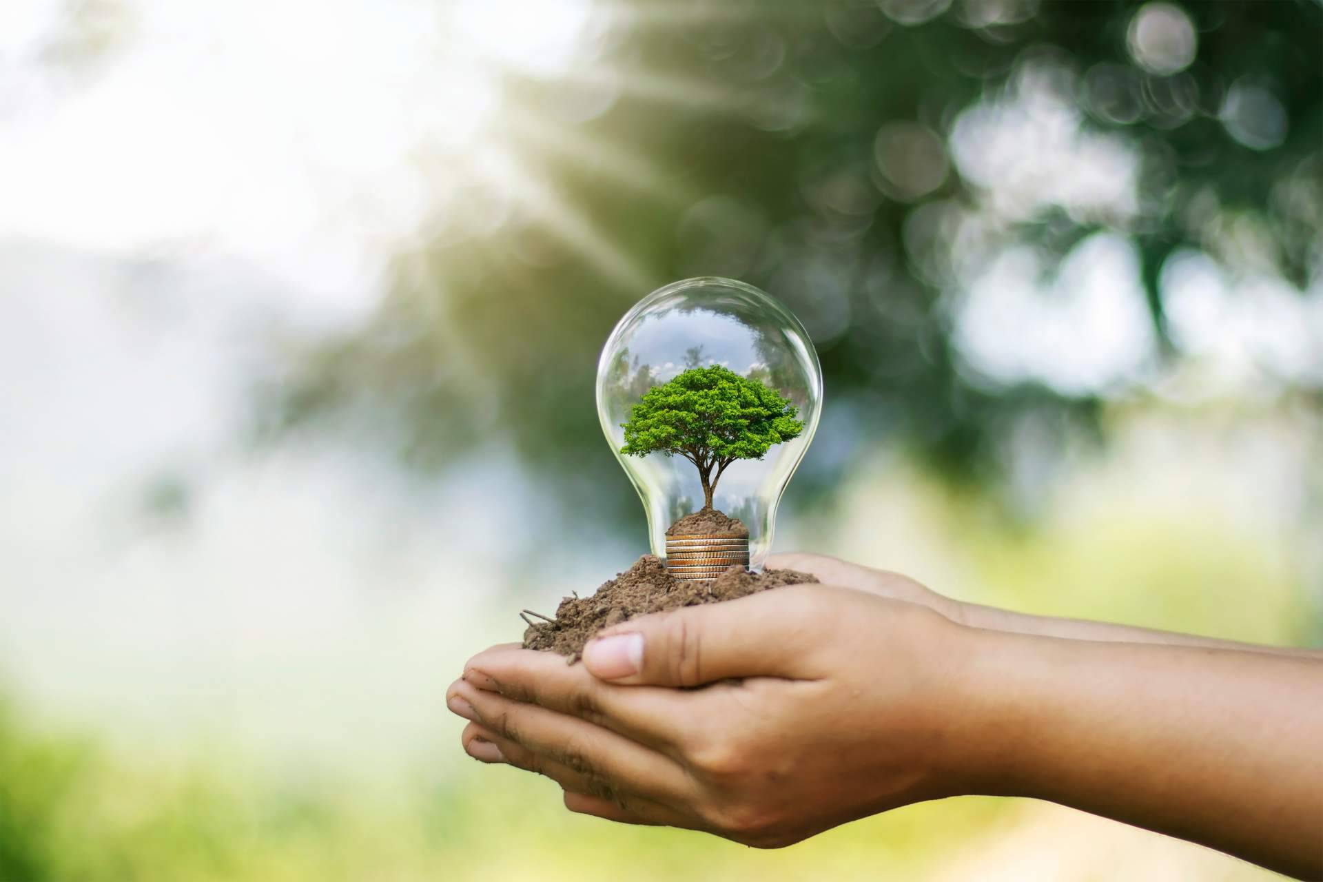 Ingeniería MASRED propone el bombeo solar aislado para piscinas de hoteles y complejos como forma de reducir el consumo energético durante el verano