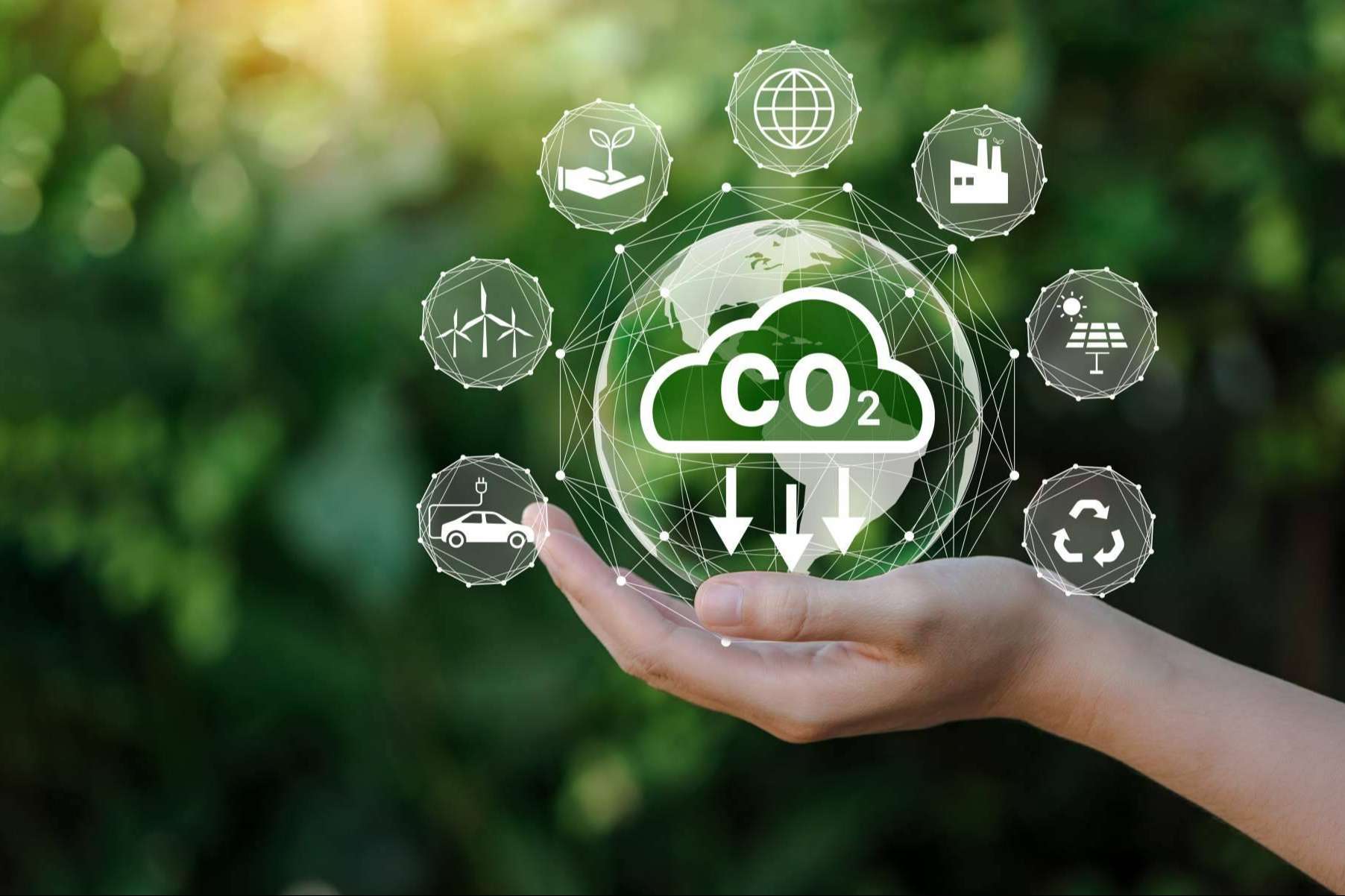 ClimateTrade ofrece innovadoras soluciones para que las empresas puedan compensar la huella de carbono