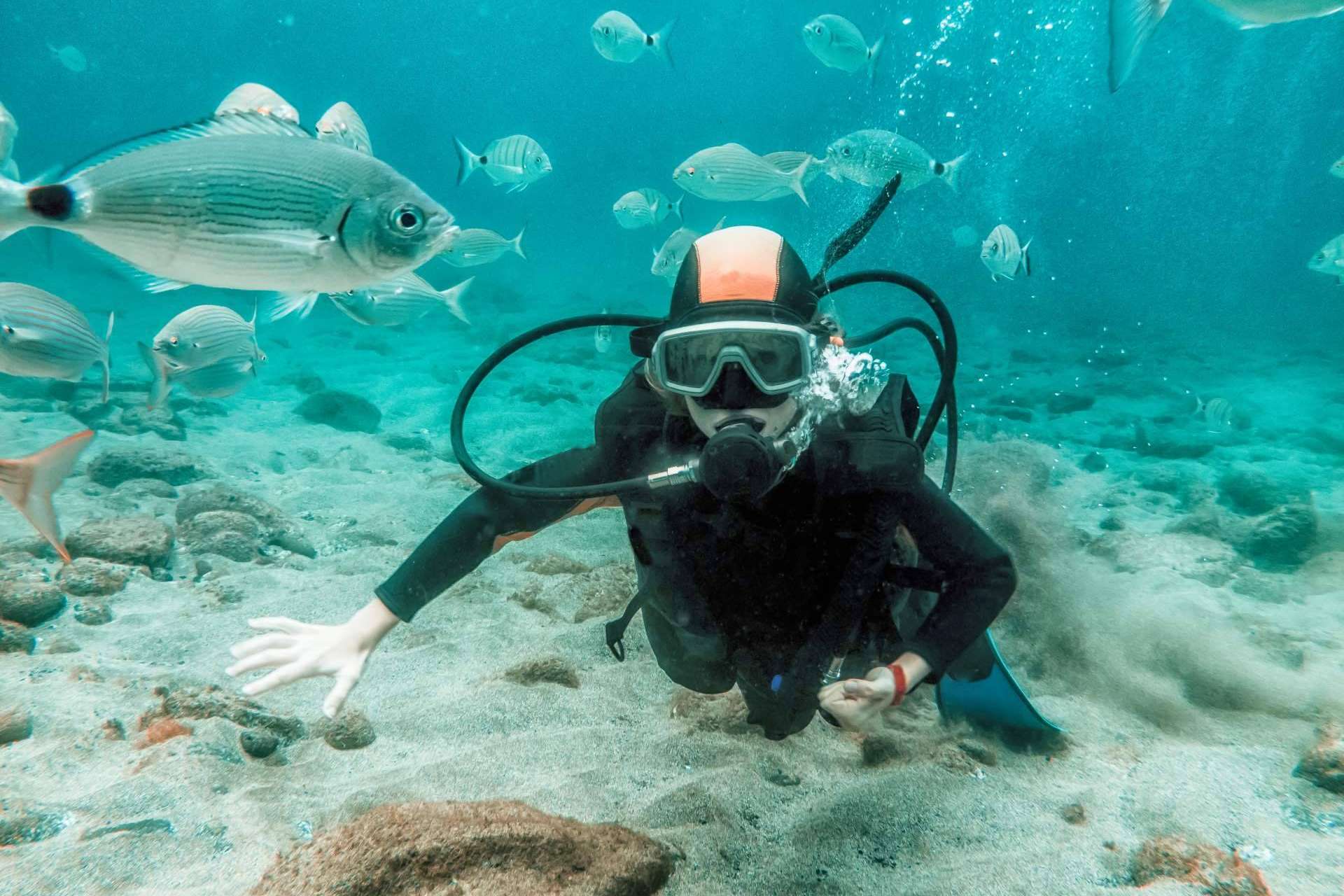 Nitro Koh Tao explica por qué el buceo en Koh Tao se ha convertido en una tendencia