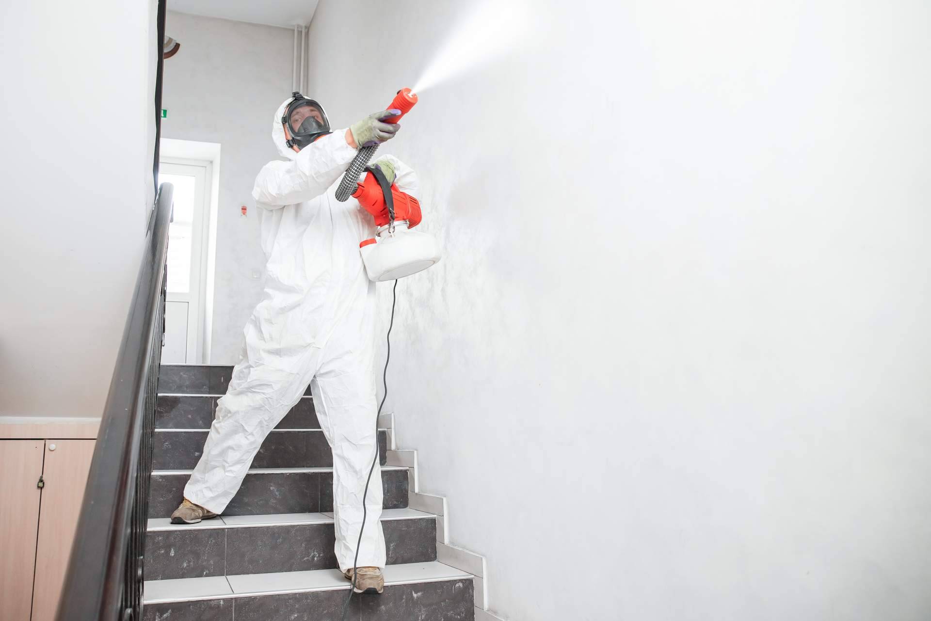 American Pest Control, la compañía de control de plagas de Madrid