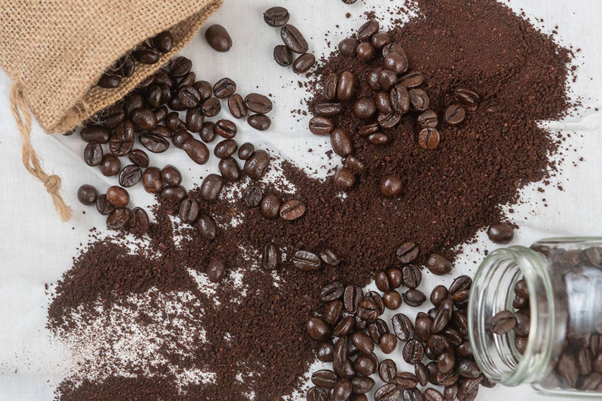 Los productos de calidad de Cafés Legend estarán disponibles en Amazon próximamente