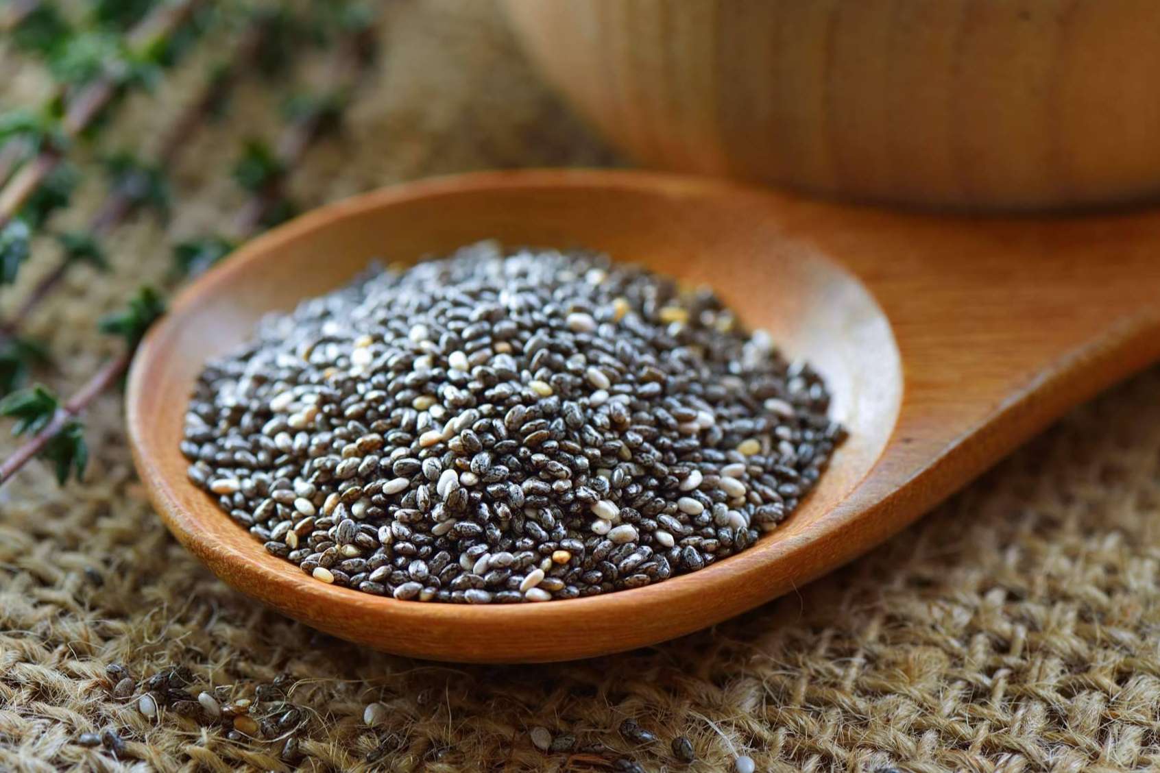 ¿Por qué incluir la chía o salvia hispánica en la dieta?