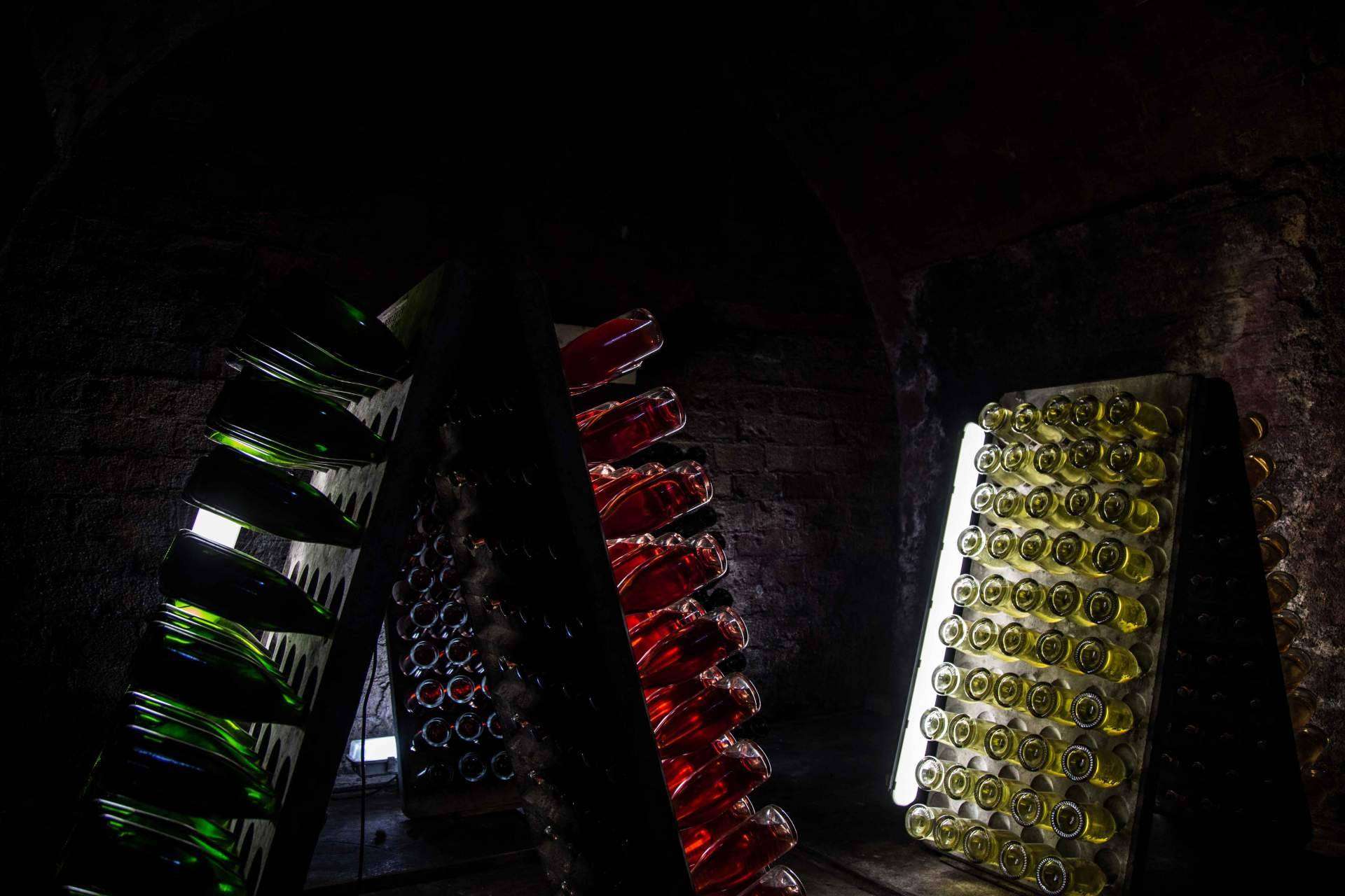 Cata de vinos de Natureloverswines para regalar enoturismo