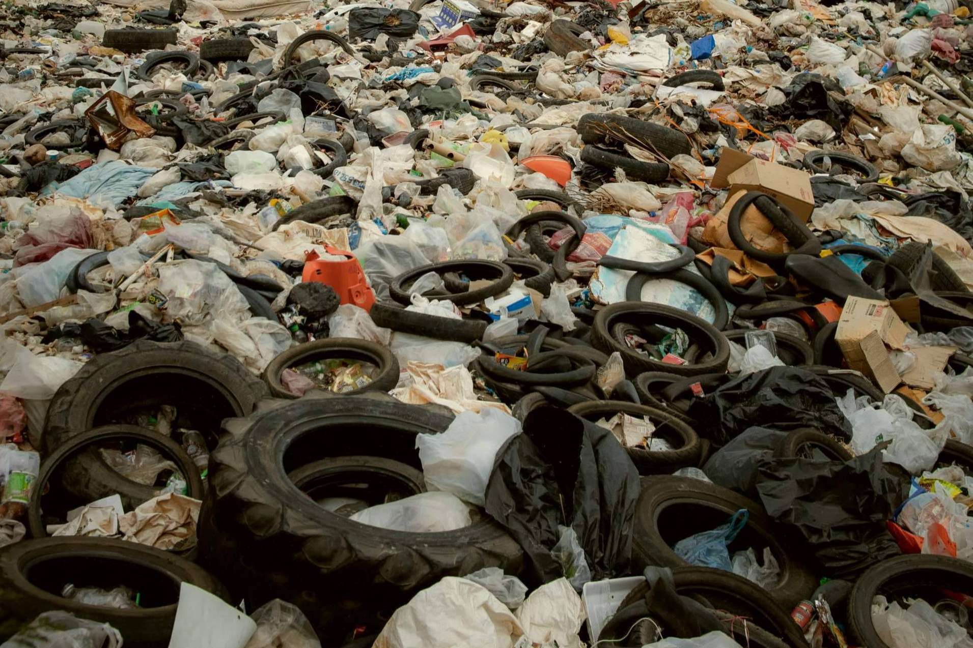 La importancia de la economía circular y la valorización de residuos en la actualidad