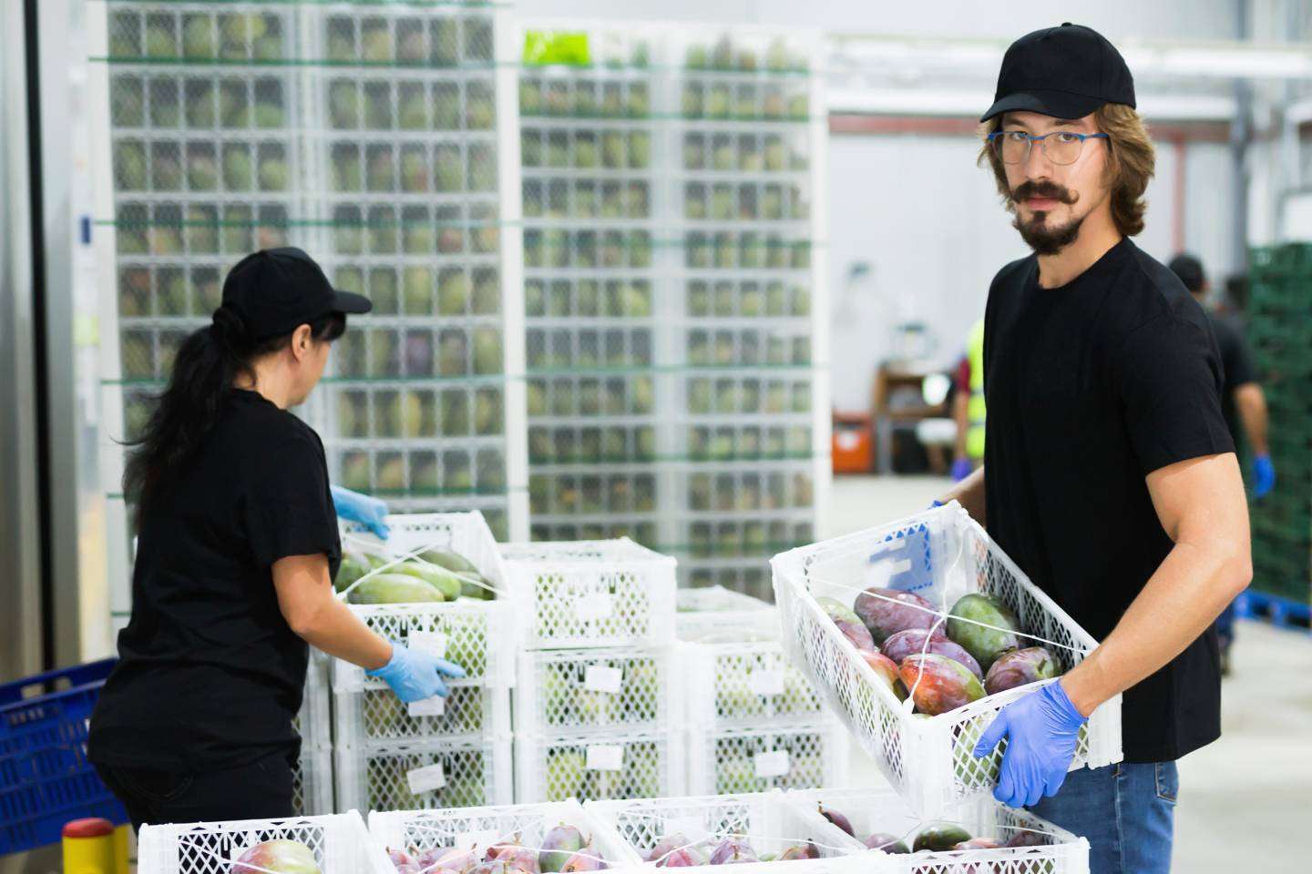 Piola ayuda a los proveedores y distribuidores del canal HORECA a digitalizar sus procesos mediante el Kit Digital