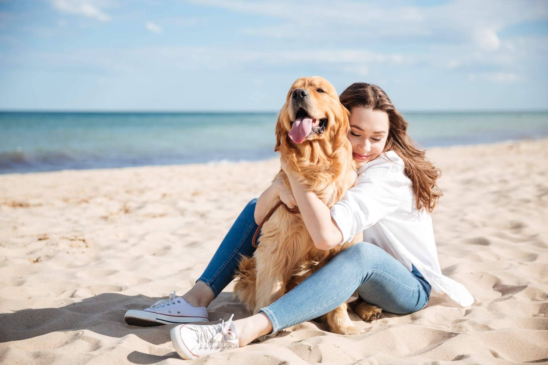 Aspectos que cubre el seguro veterinario de Barkibu