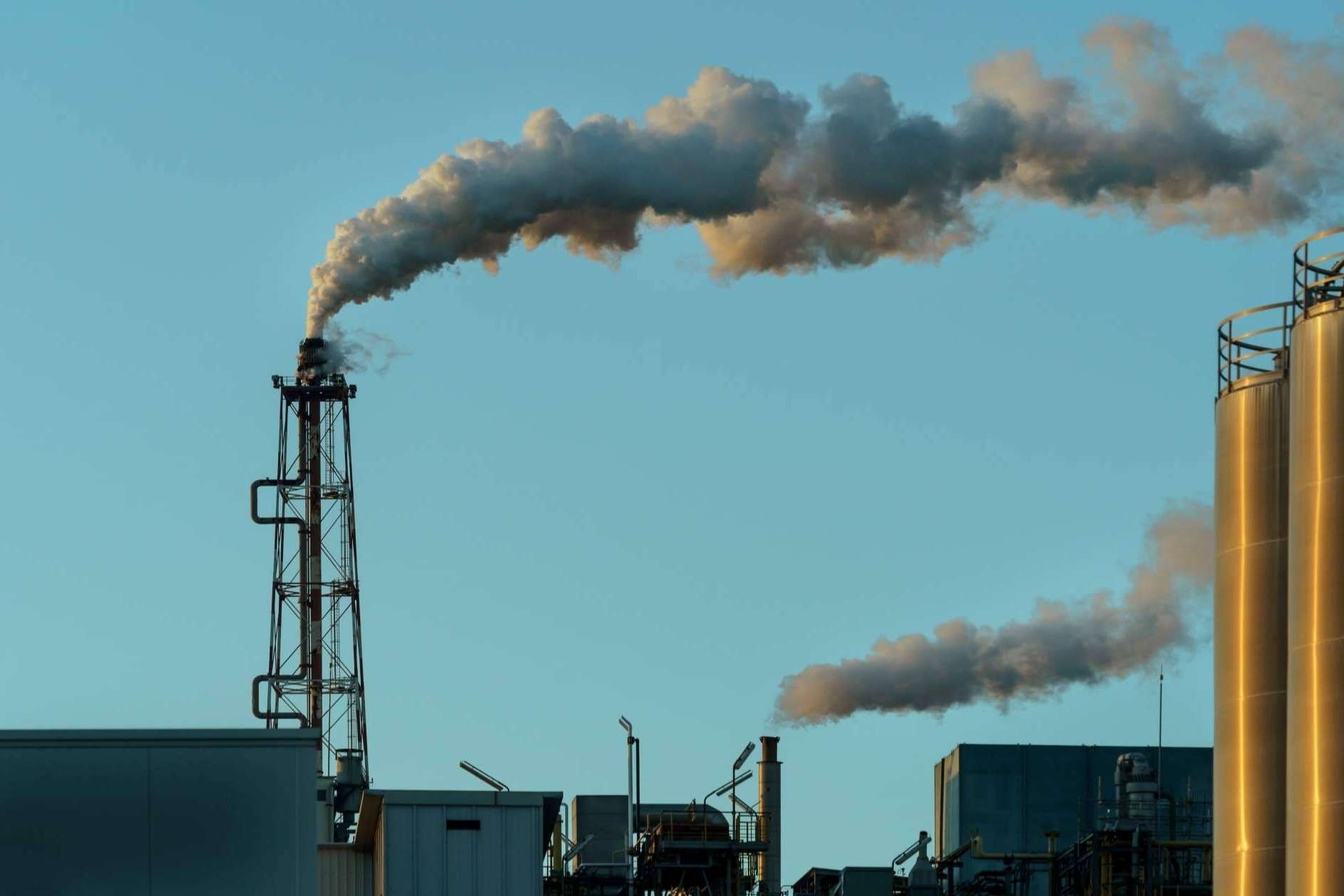 ¿Cómo combatir el greenwashing?, por DoGood