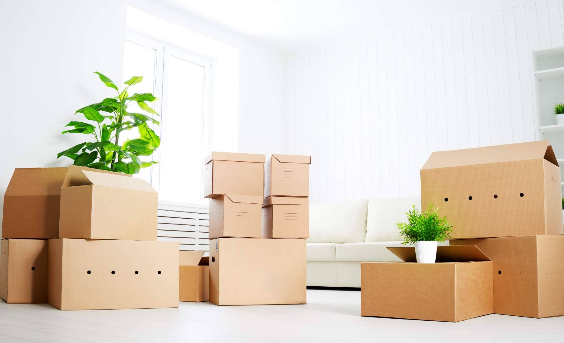 Servicios de mudanzas internacionales con Mudatrans