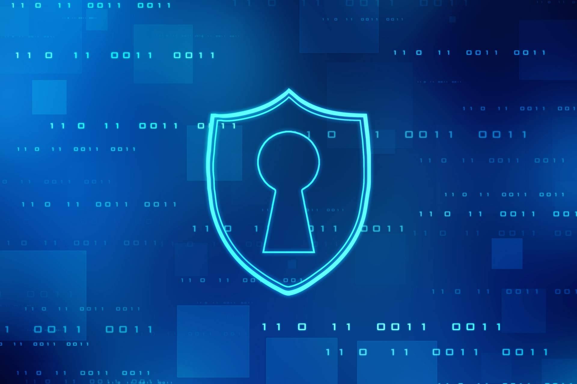 Las empresas de seguridad informática recomiendan hacer auditorías para detectar vulnerabilidades en los sistemas