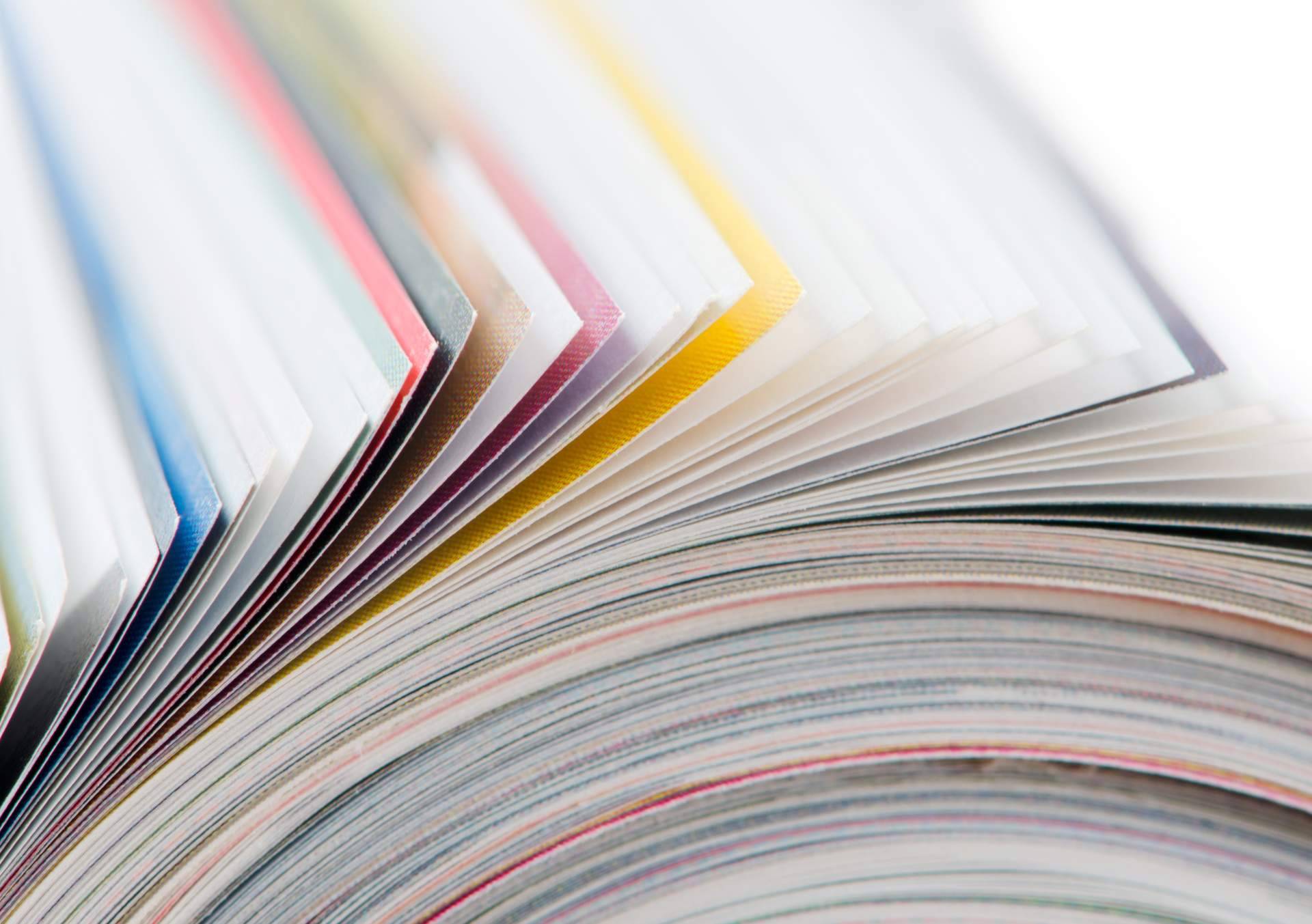 El éxito de los nuevos lanzamientos publicados en 2022 de Editorial Pluma