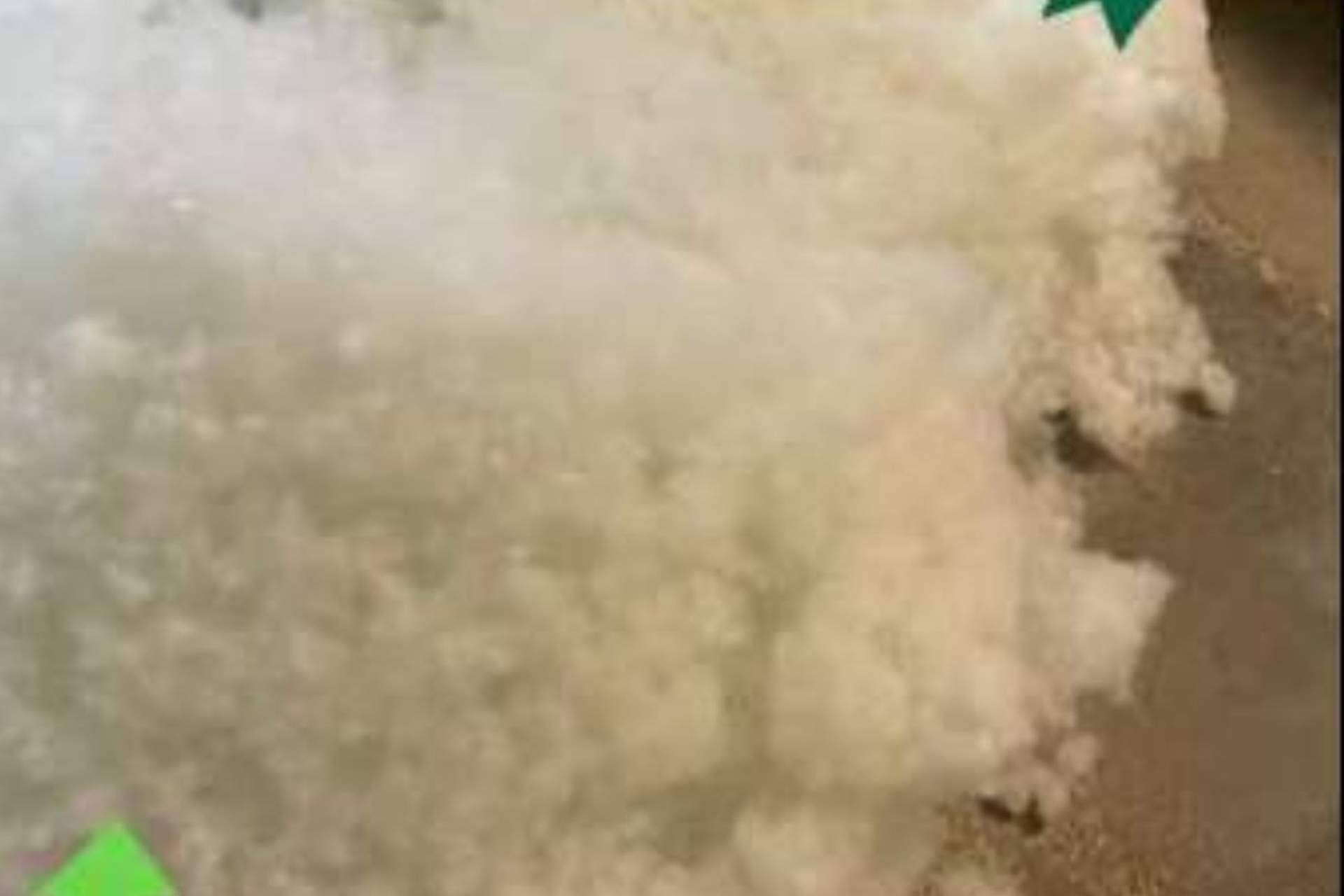 El diseño de peluches ecológicos de Peluches Cel persigue un planeta más limpio y sostenible