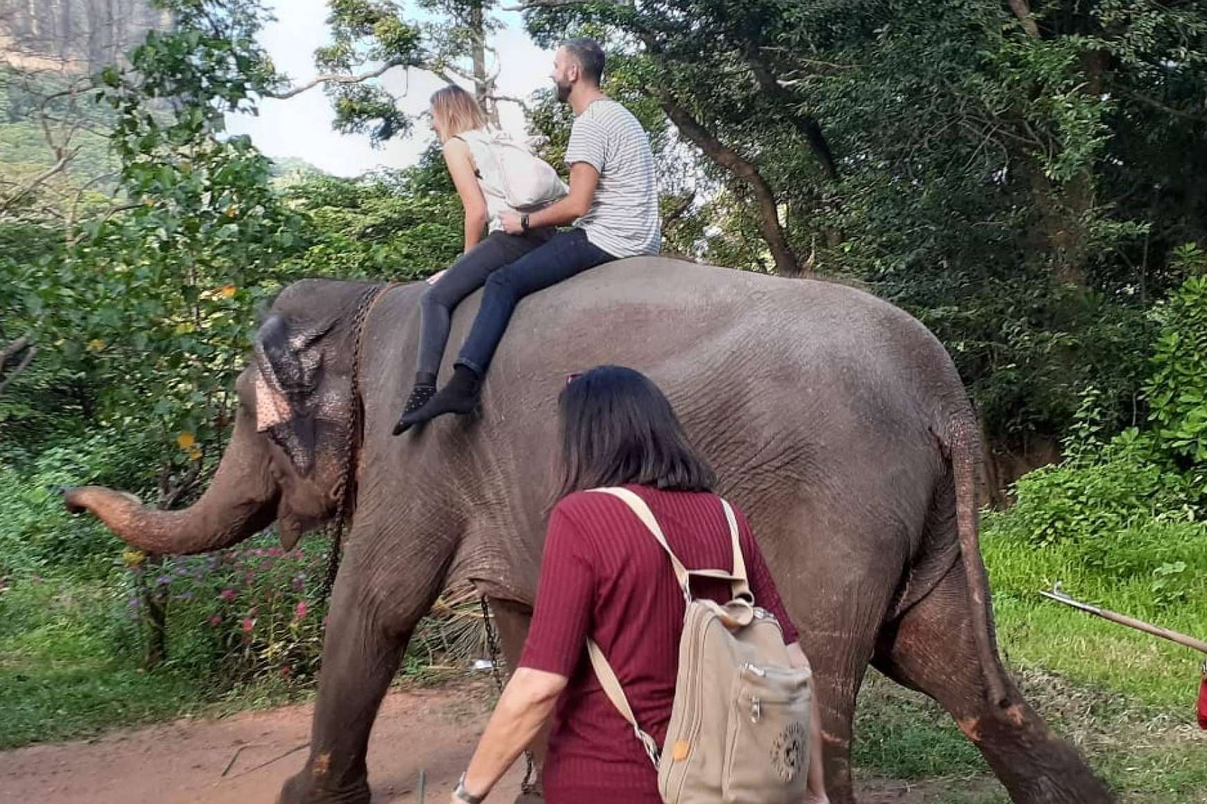 Sri Lanka Viajes Edén, la hospitalidad en Sri Lanka en tiempos de crisis