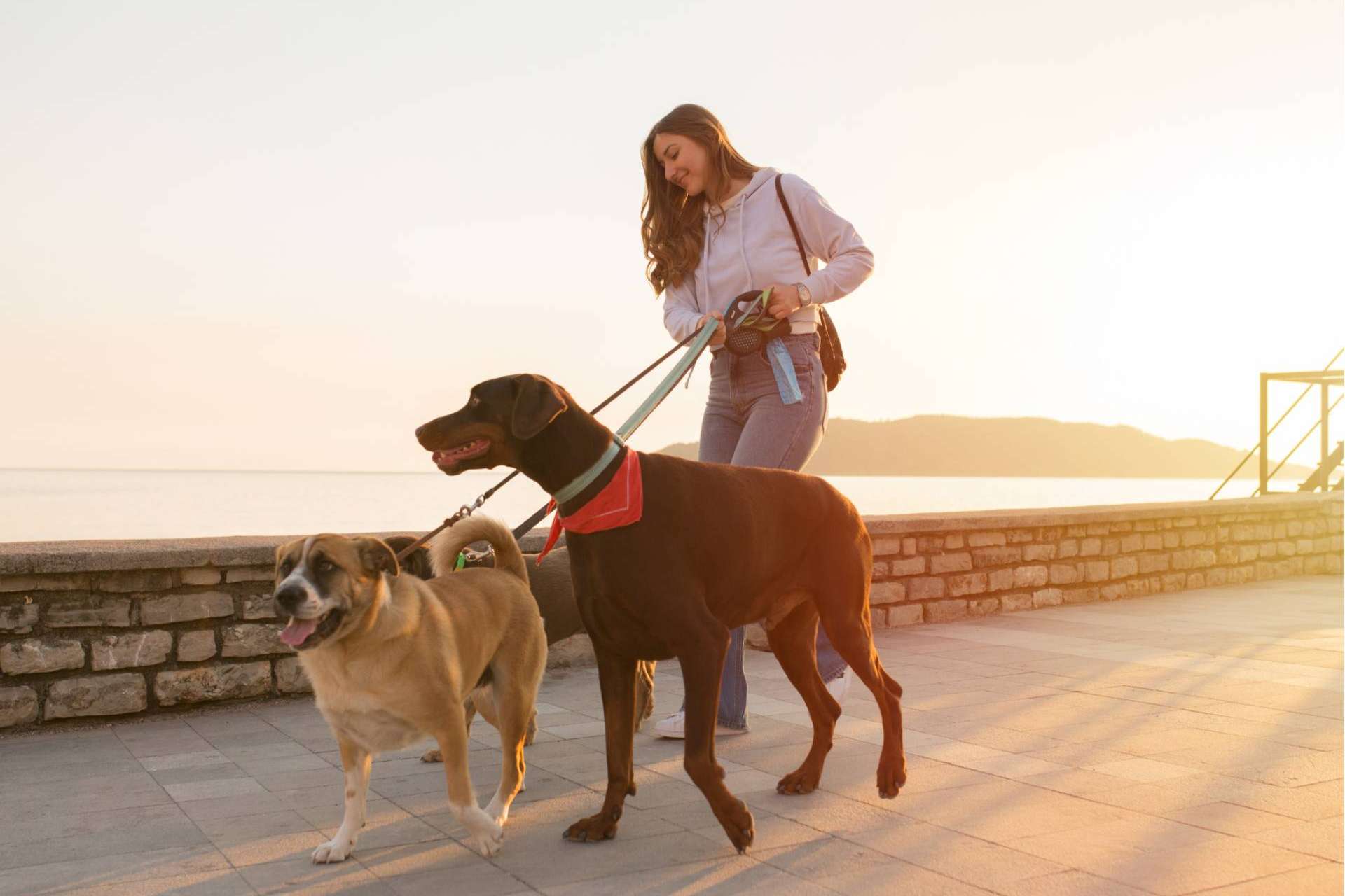 Mascozyme® Urban Cleaner es la solución a la contaminación ambiental por excrementos y orines de perros y gatos