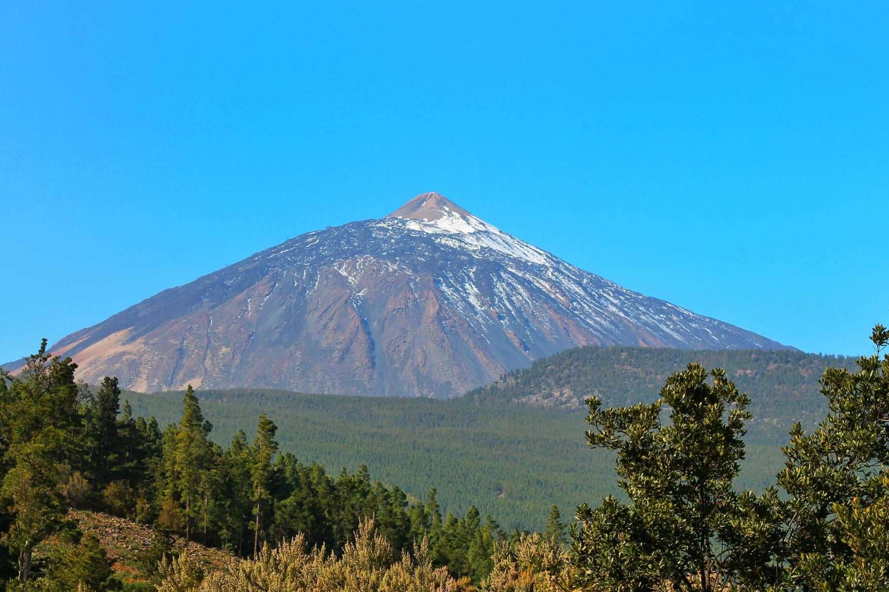Canarias.com, la agencia de viajes que organiza una gran variedad de excursiones por Tenerife