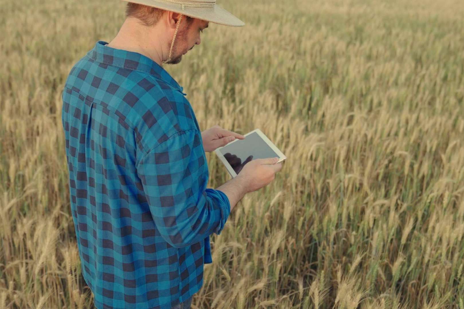 Optimizar la gestión de las explotaciones agrícolas y agropecuarias en España a través de ERP Cuadernos de Explotación, un software de Certitec