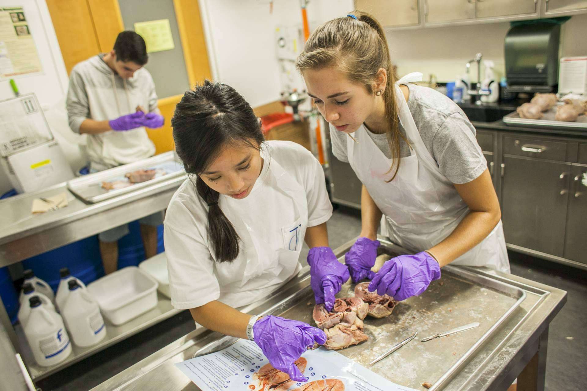 Round The World Spain ofrece cursos Pre-College para vivir una experiencia inolvidable en el extranjero