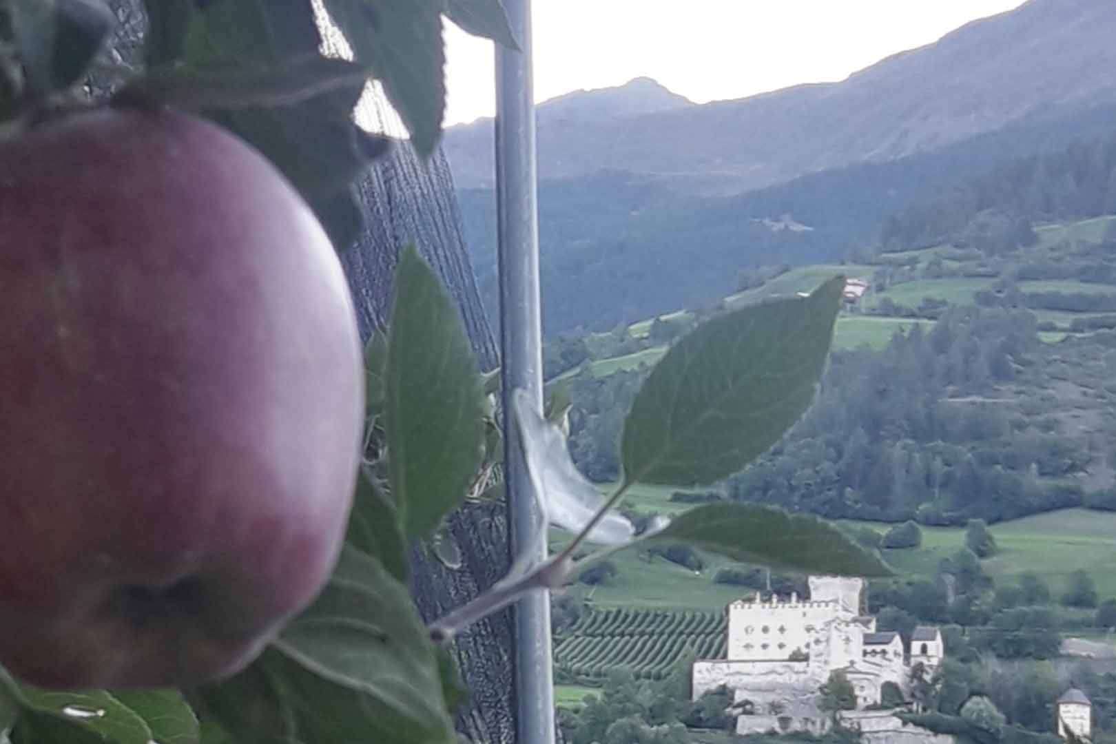 HAZLO Travexperience y sus viajes slow tour en Italia