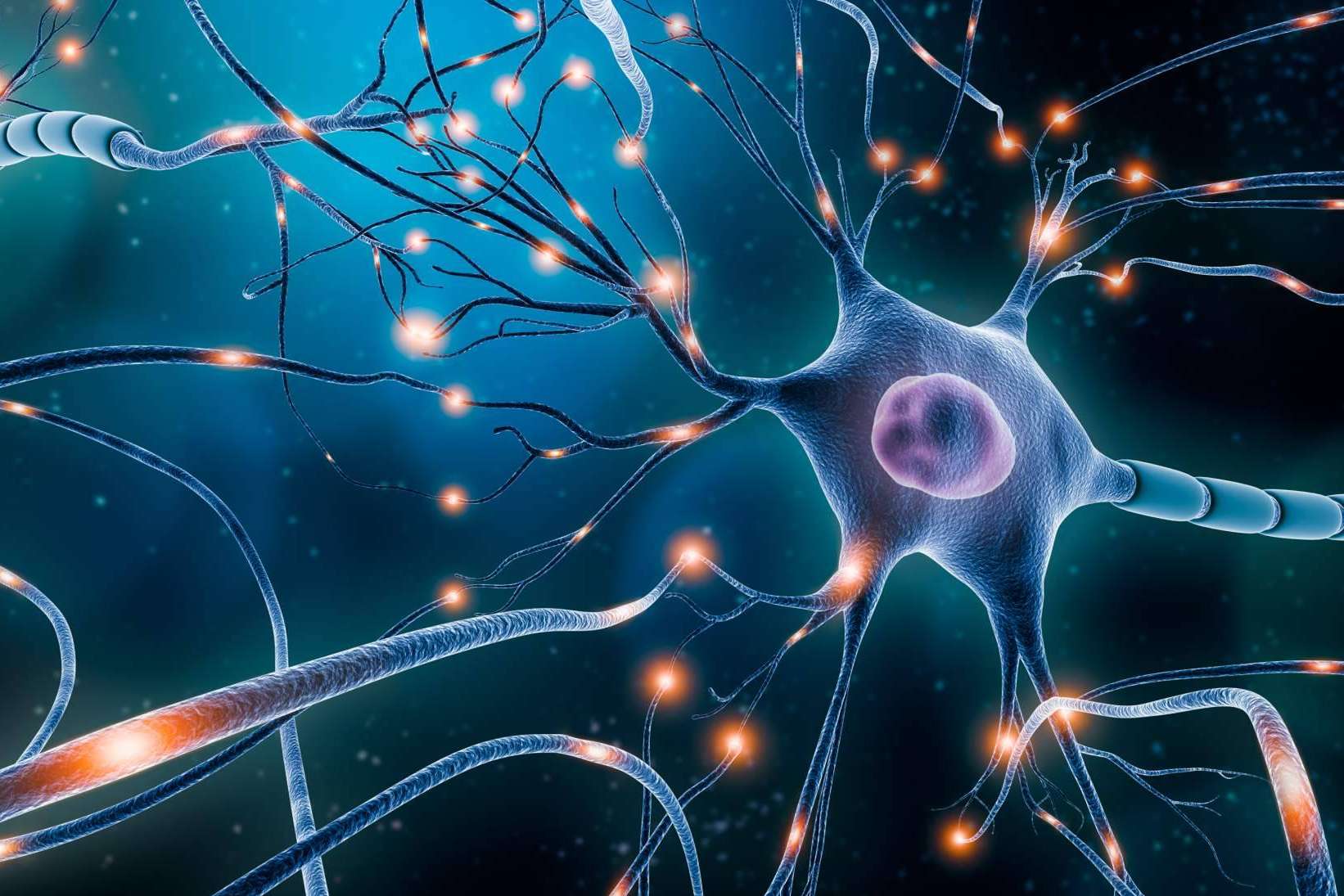 ¿Cuáles son los principales mitos del neuromarketing? ANE International los identifica