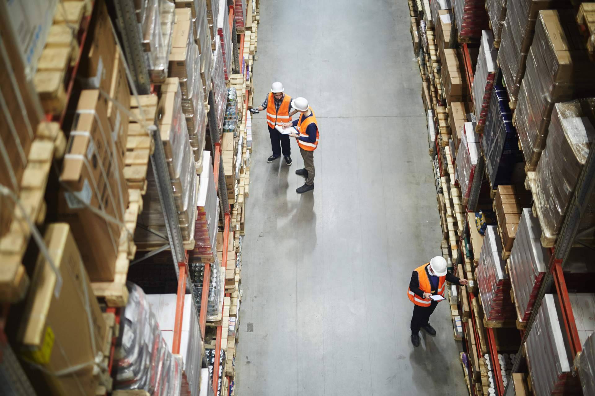 Sobre los servicios logísticos y de almacenaje de Terra Logistika