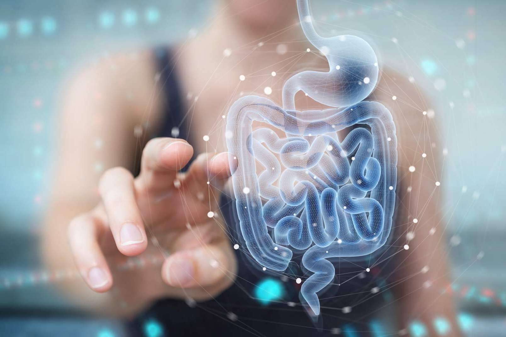 ¿Cómo mantener una microbiota intestinal saludable? Los probióticos naturales de Bibefy